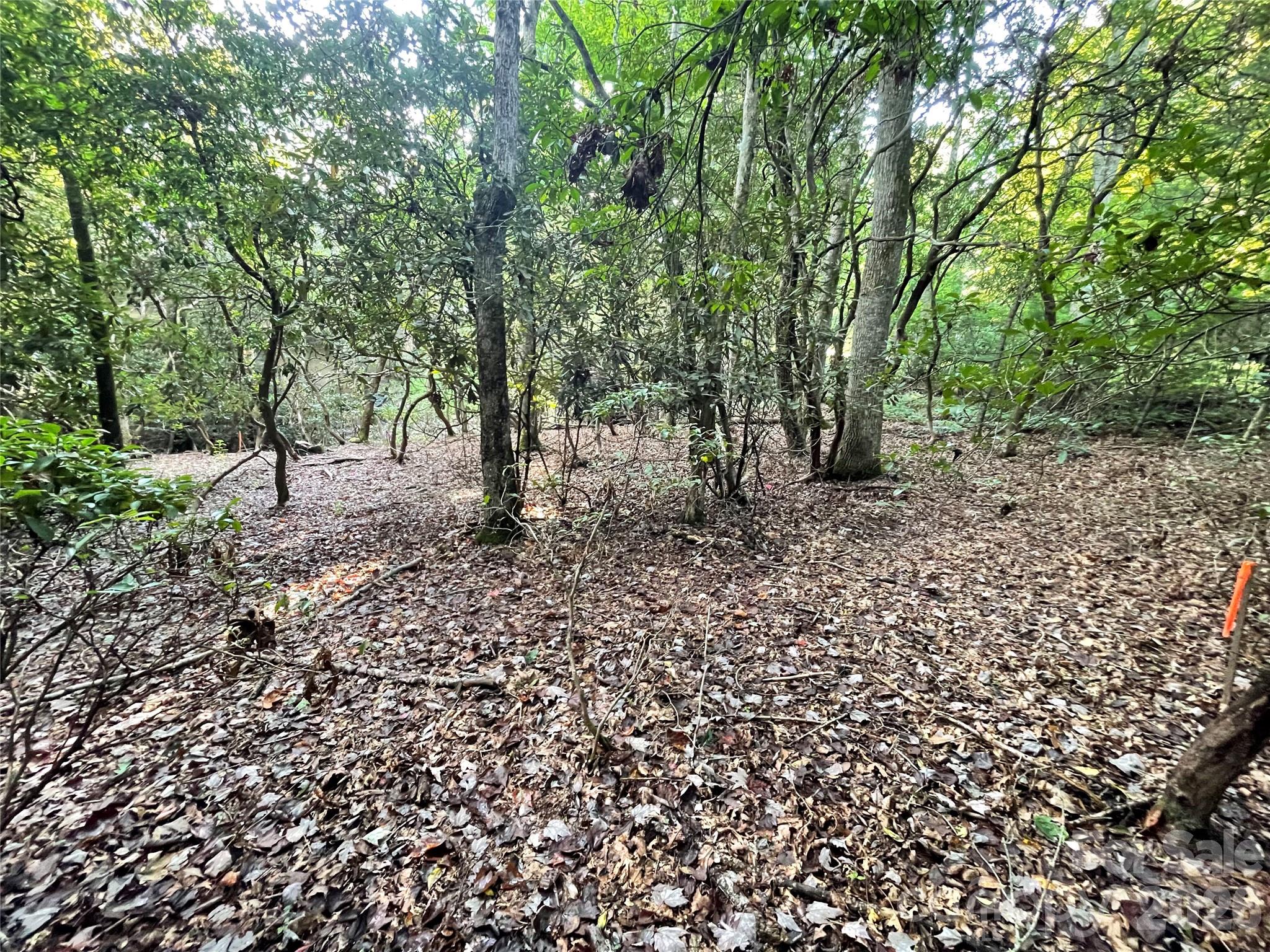 Lot at 153 Chattooga Run, Hendersonville, photo 21 of 24