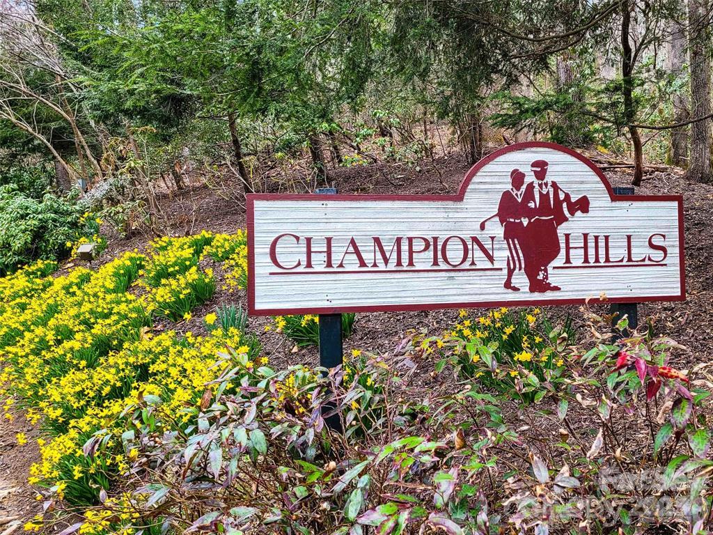 Lot at 153 Chattooga Run, Hendersonville, photo 22 of 24
