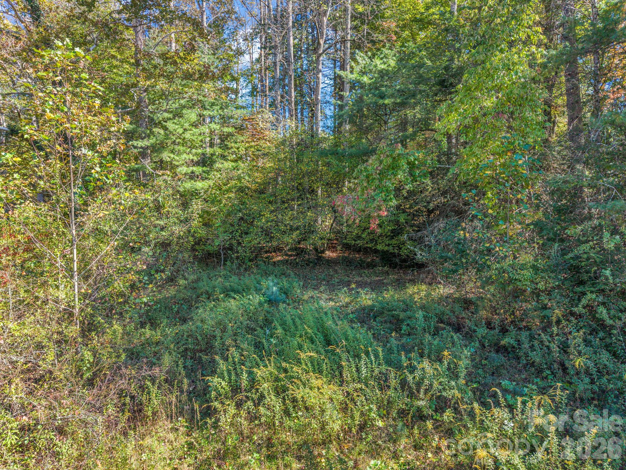 Acreage at TBD Wilson Road, Brevard, photo 8 of 15