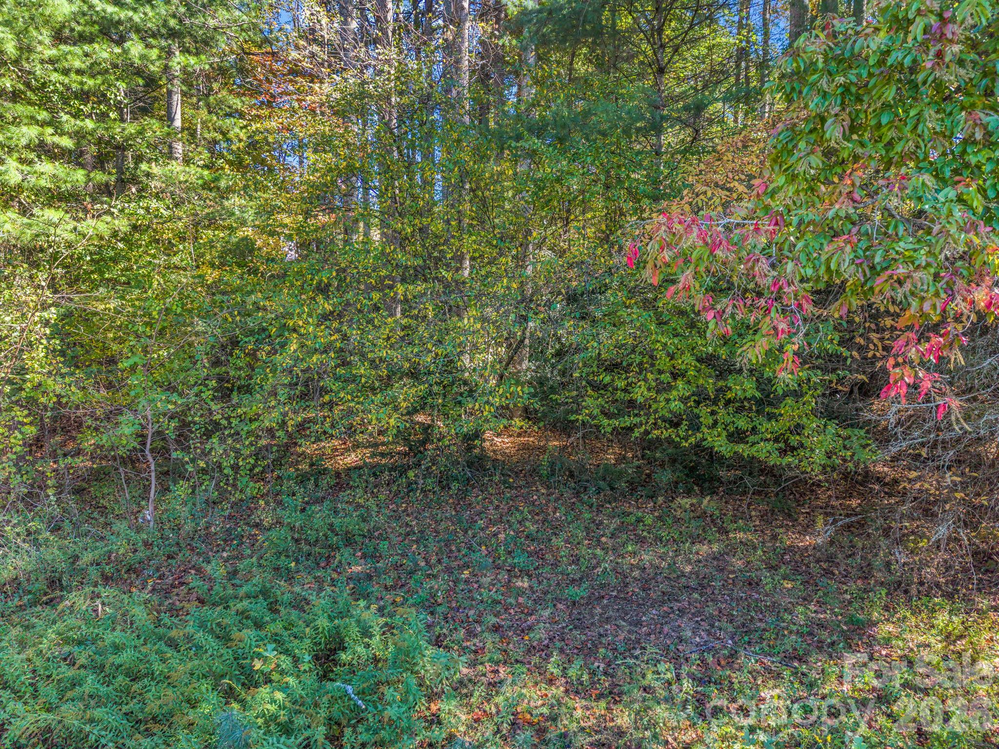 Acreage at TBD Wilson Road, Brevard, photo 9 of 15