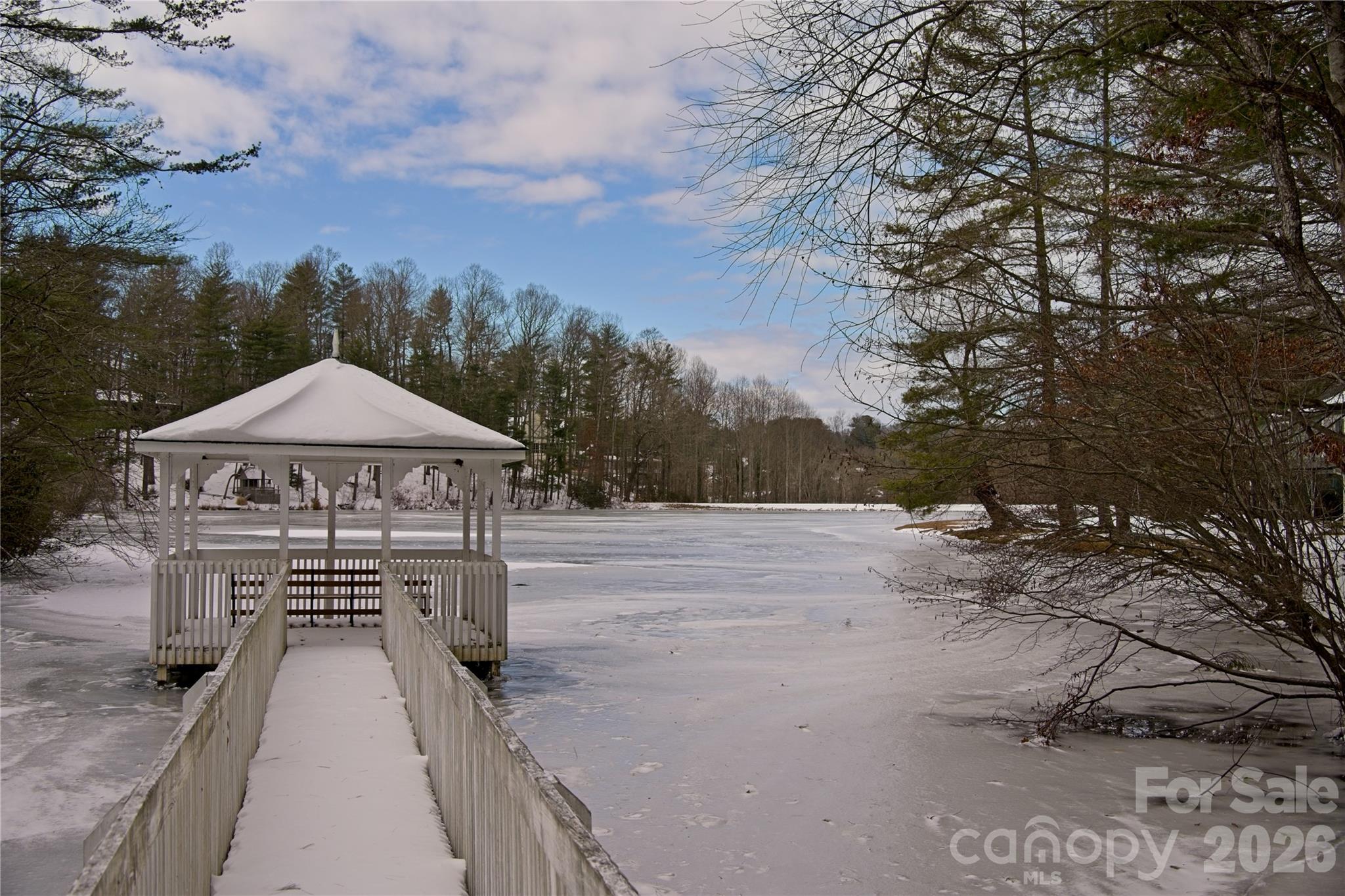 Pavillion in winter - 52 Oak Gate Drive, Hendersonville