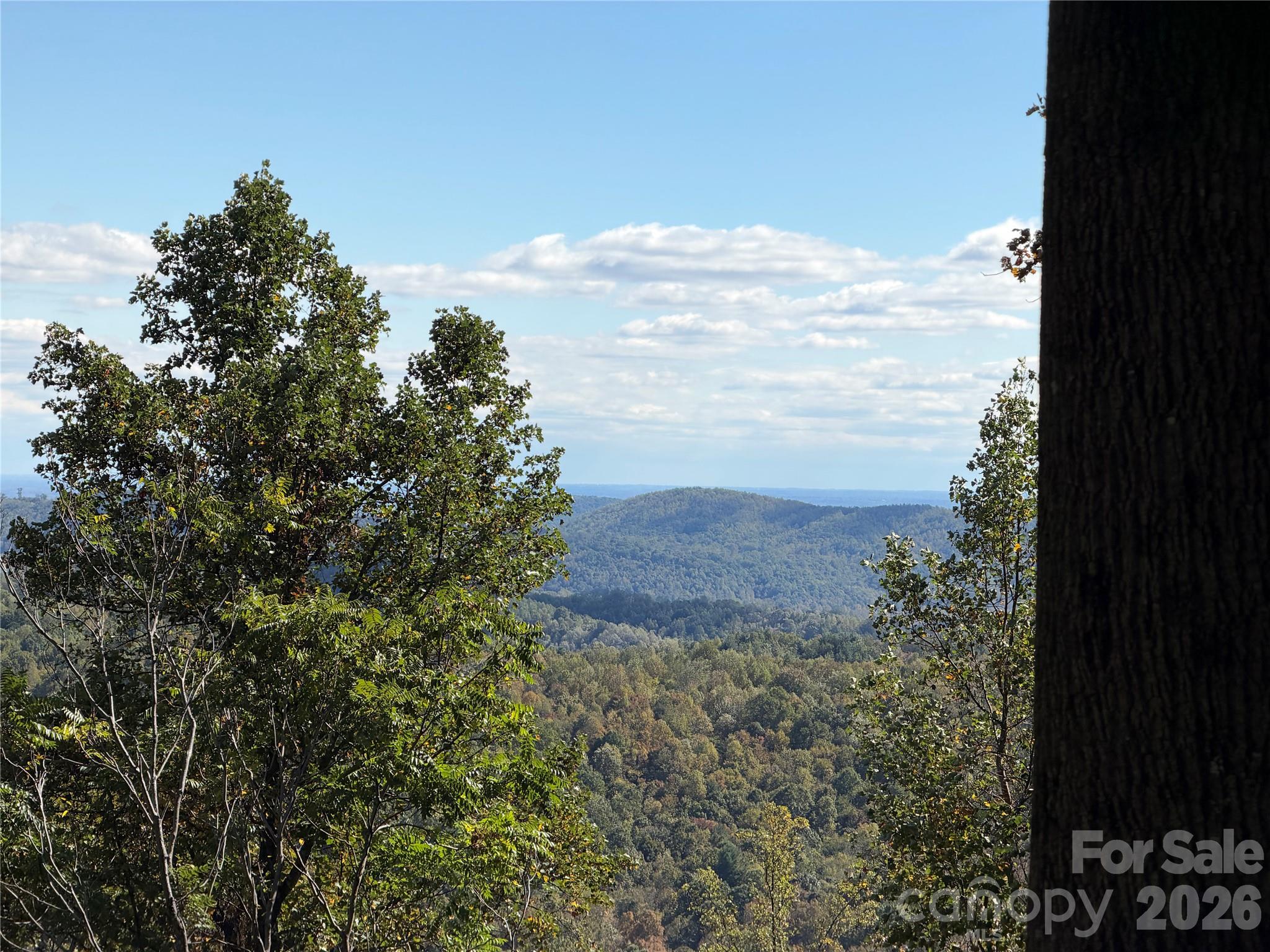 Acreage at TBD Vannoy Ridge Road, Moravian Falls, photo 3 of 42