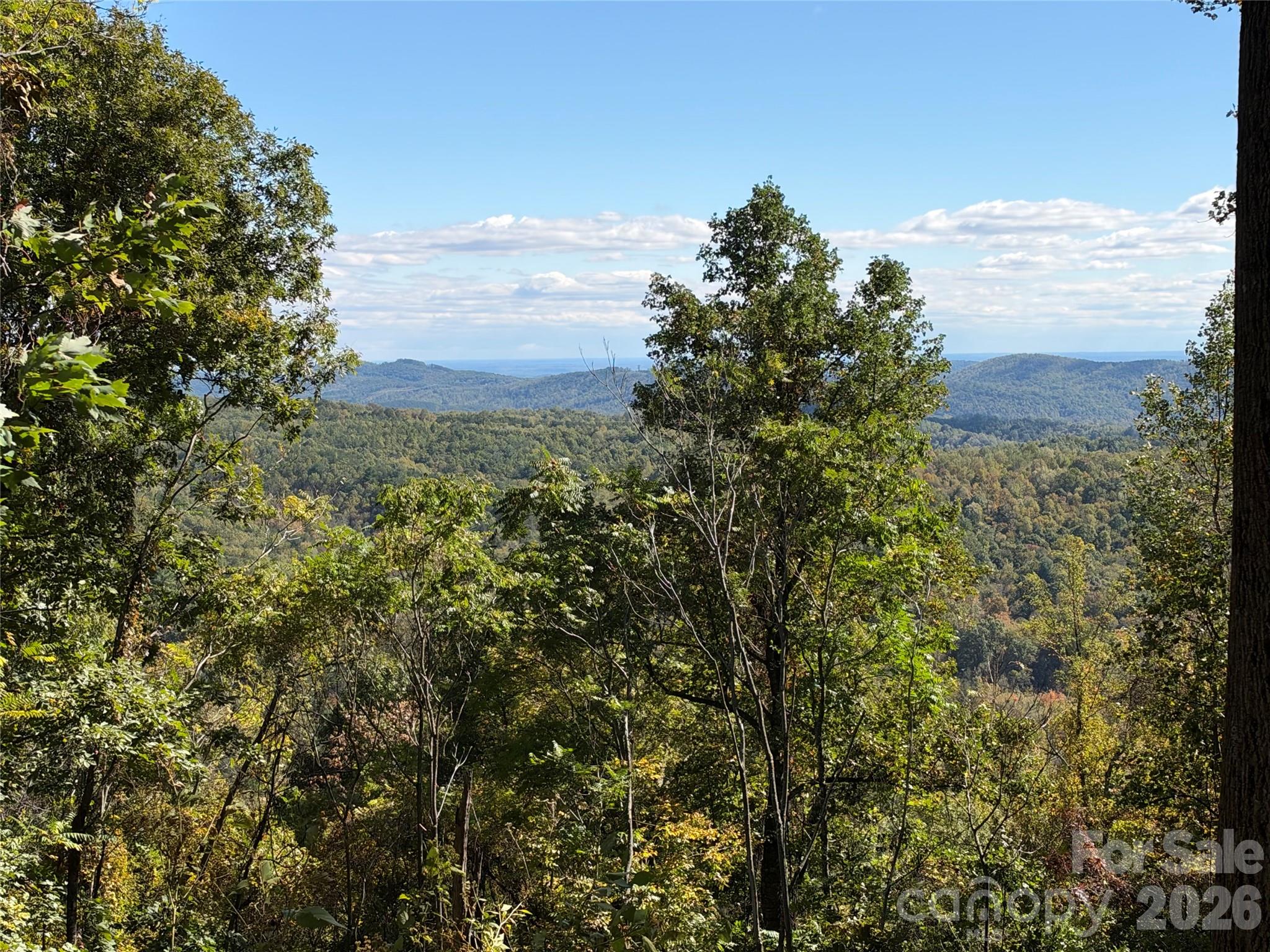 Acreage at TBD Vannoy Ridge Road, Moravian Falls, photo 6 of 42