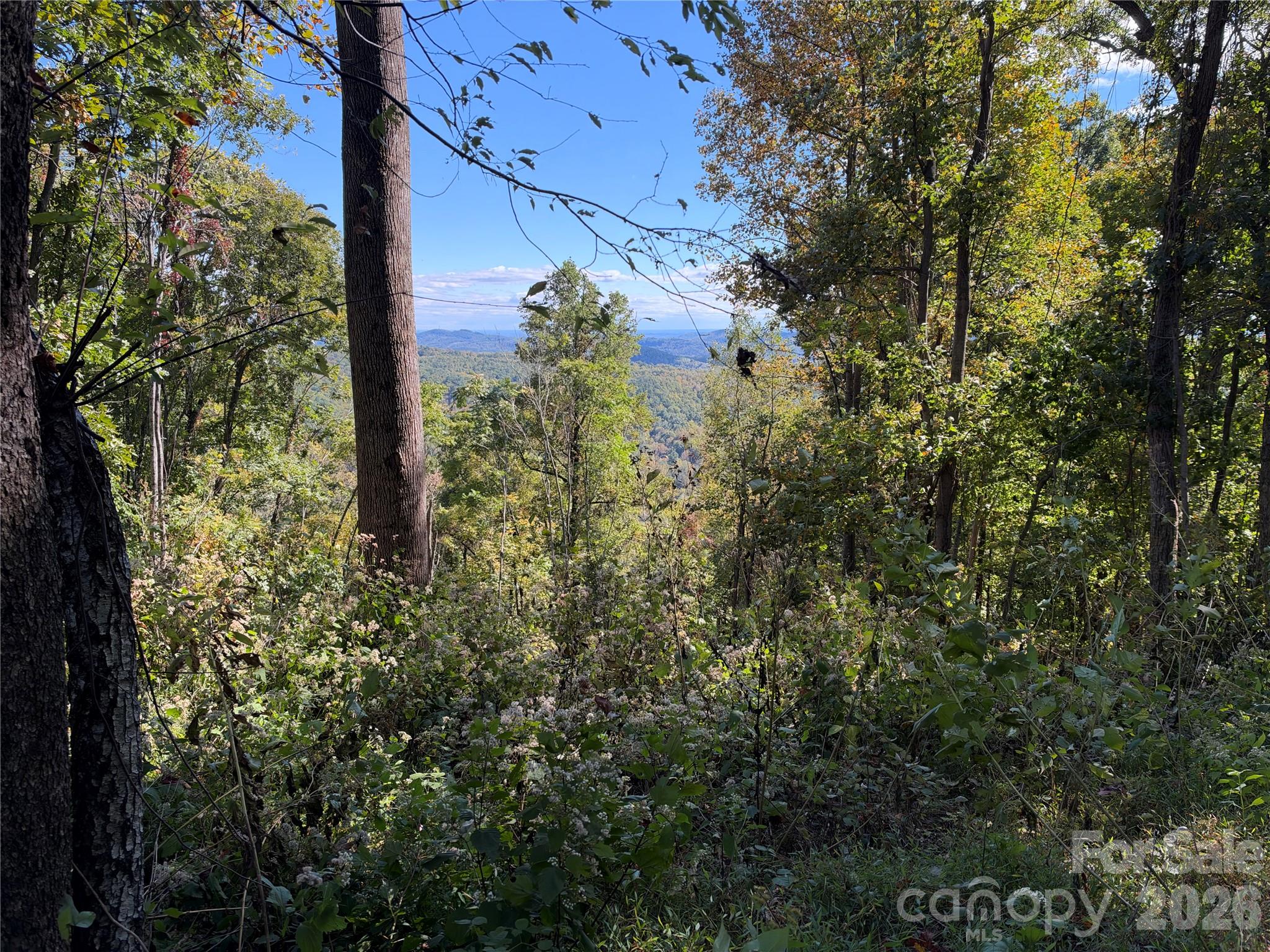 Acreage at TBD Vannoy Ridge Road, Moravian Falls, photo 9 of 42