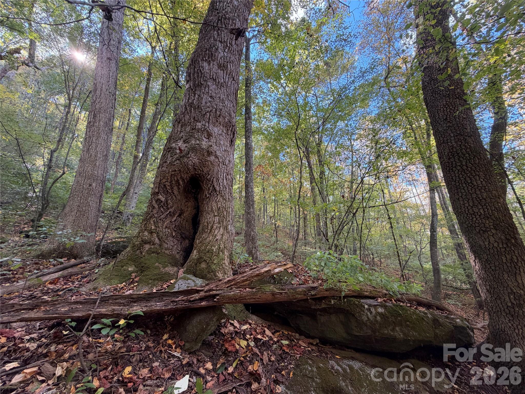 Acreage at TBD Vannoy Ridge Road, Moravian Falls, photo 22 of 42