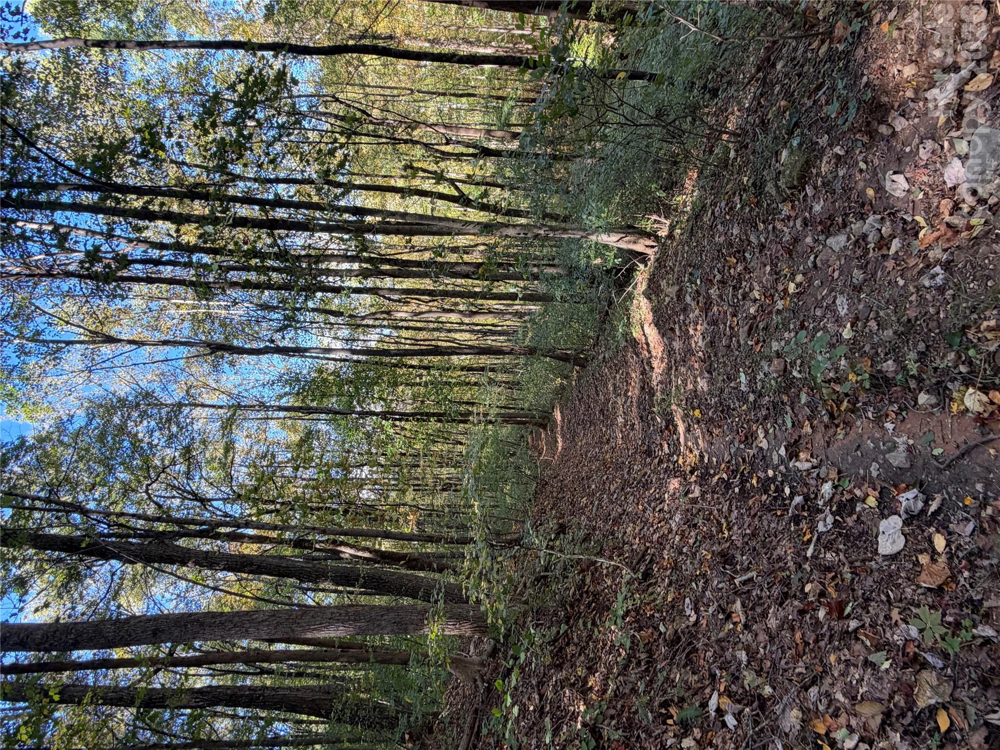 Acreage at TBD Vannoy Ridge Road, Moravian Falls, photo 31 of 42