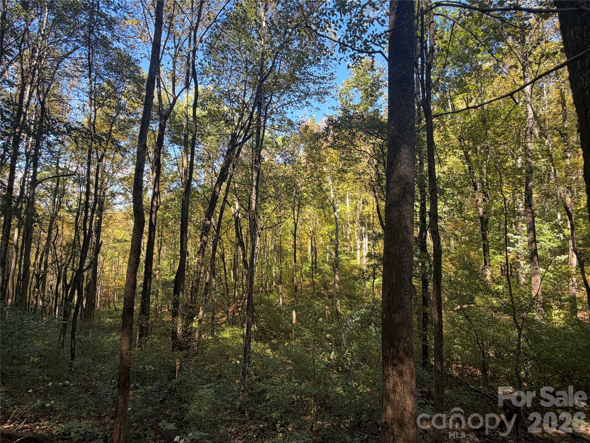 Acreage at TBD Vannoy Ridge Road, Moravian Falls, photo 32 of 42