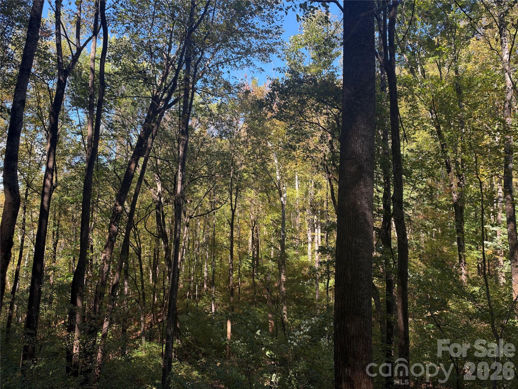 Acreage at TBD Vannoy Ridge Road, Moravian Falls, photo 34 of 42