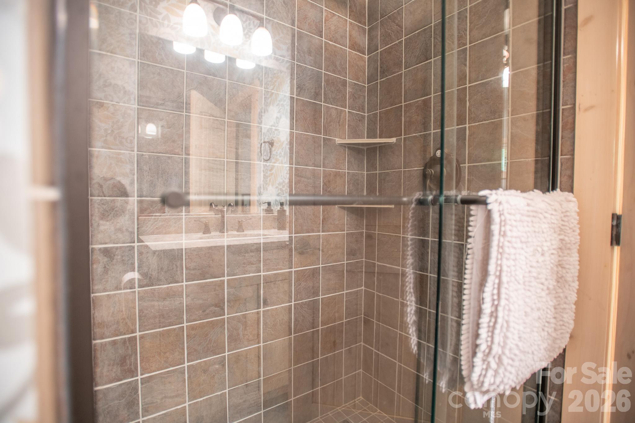 Guest en suite bathroom - 350 Celo Cove Drive, Burnsville