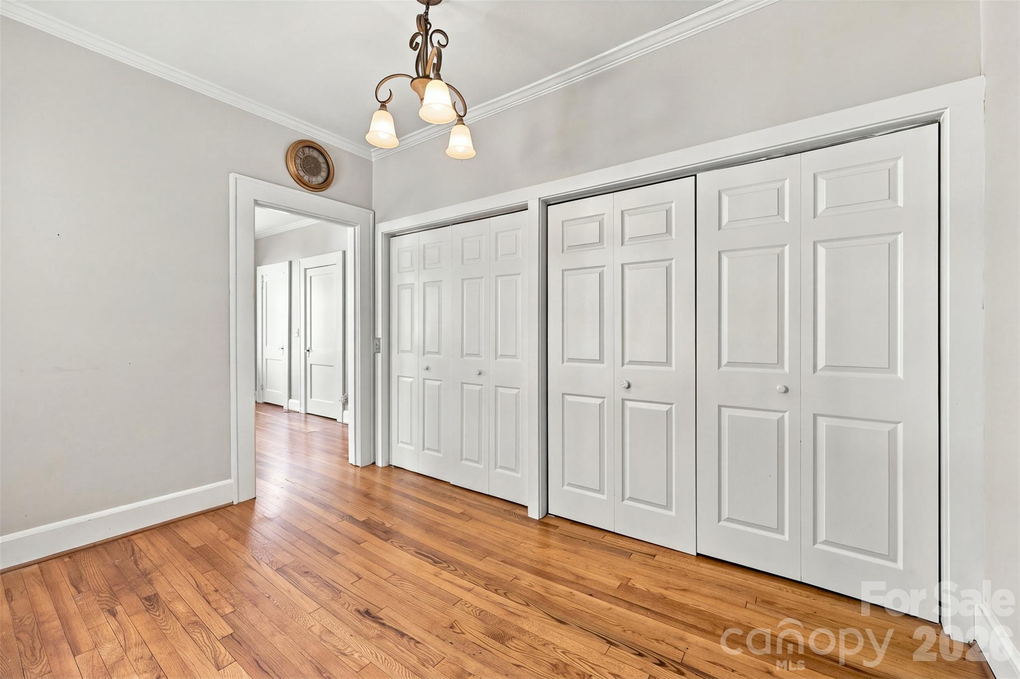 PRIMARY CLOSET DRESSING AREA - 1220 Williams Road, Fort Mill