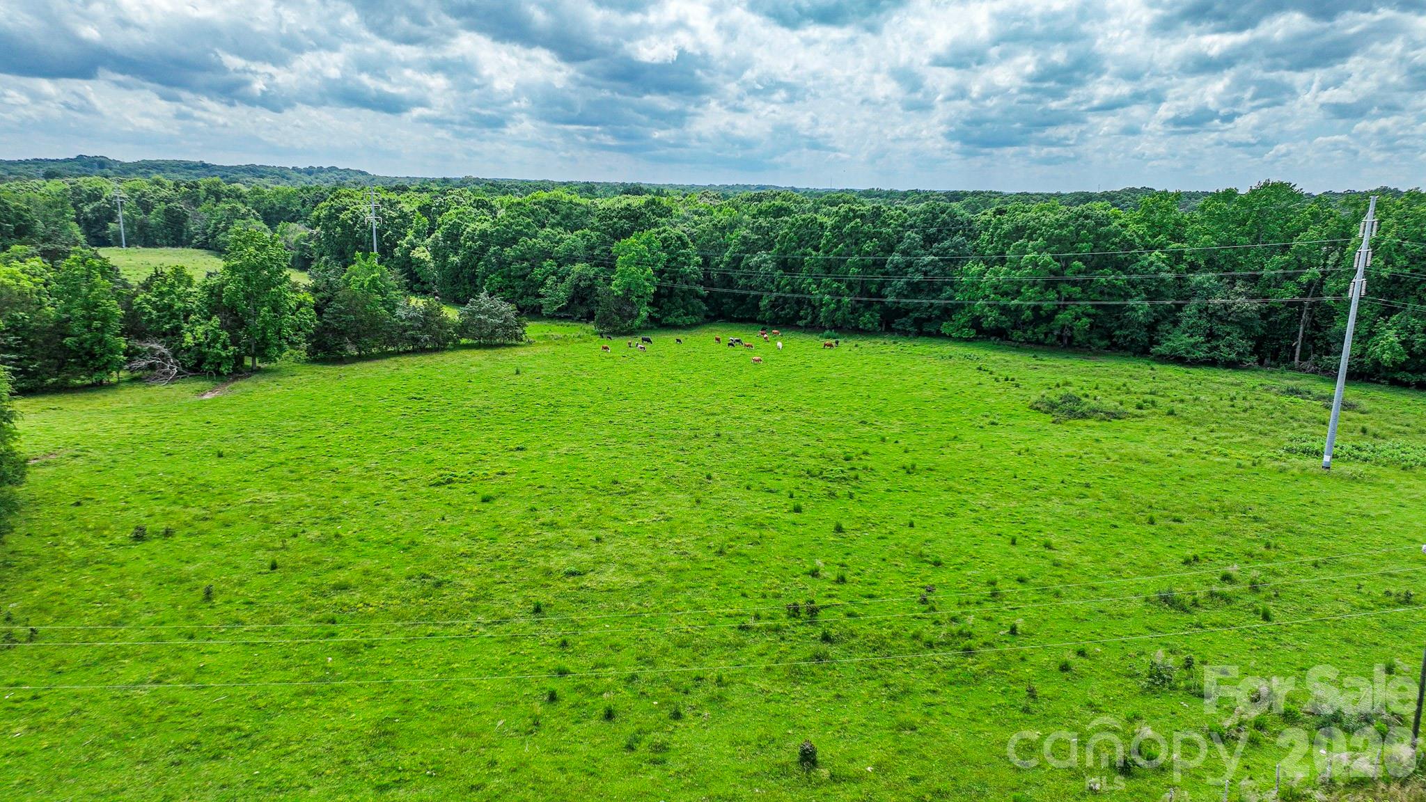 Acreage at 0 Avery Parker Road, Monroe, photo 7 of 16