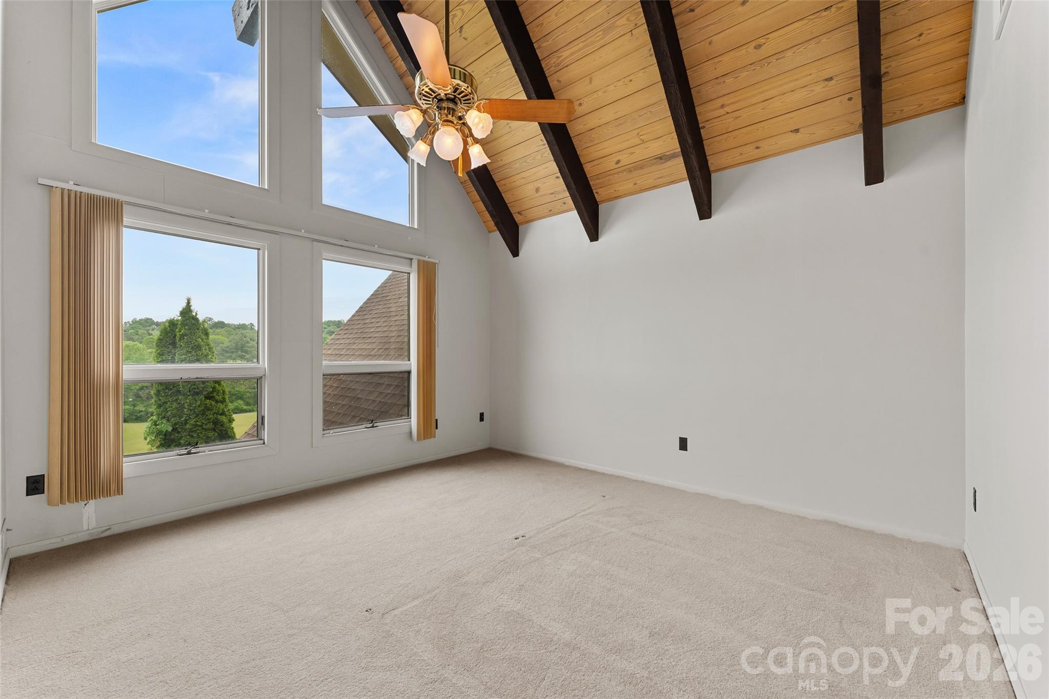 Acreage at 99 Odonald Road, Asheville, photo 19 of 48