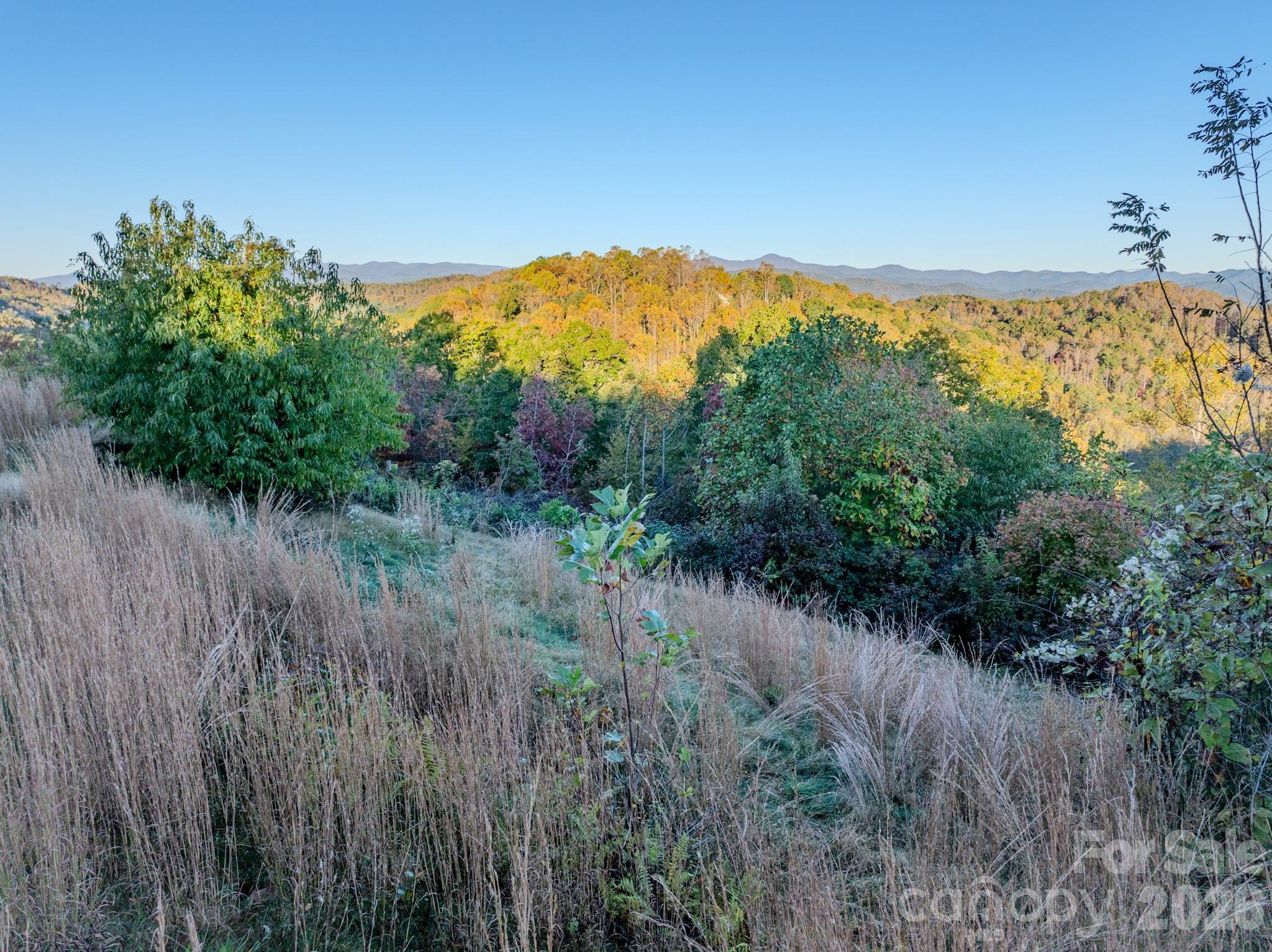 Lot at 00 Skydance Trail, Hendersonville, photo 12 of 23