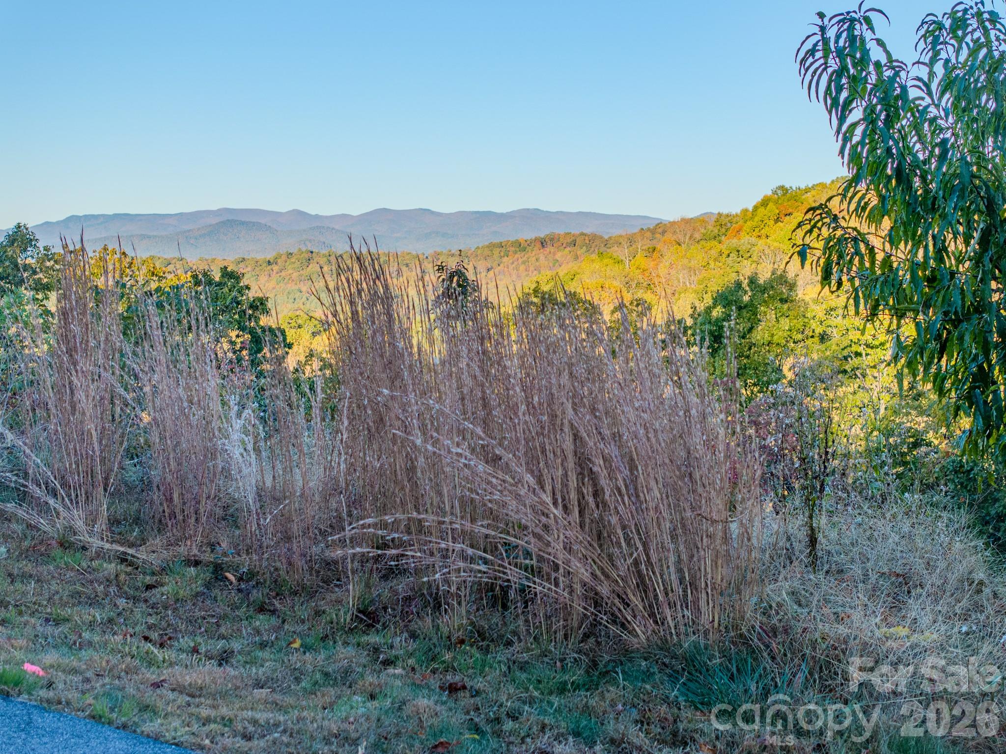 Lot at 00 Skydance Trail, Hendersonville, photo 16 of 23