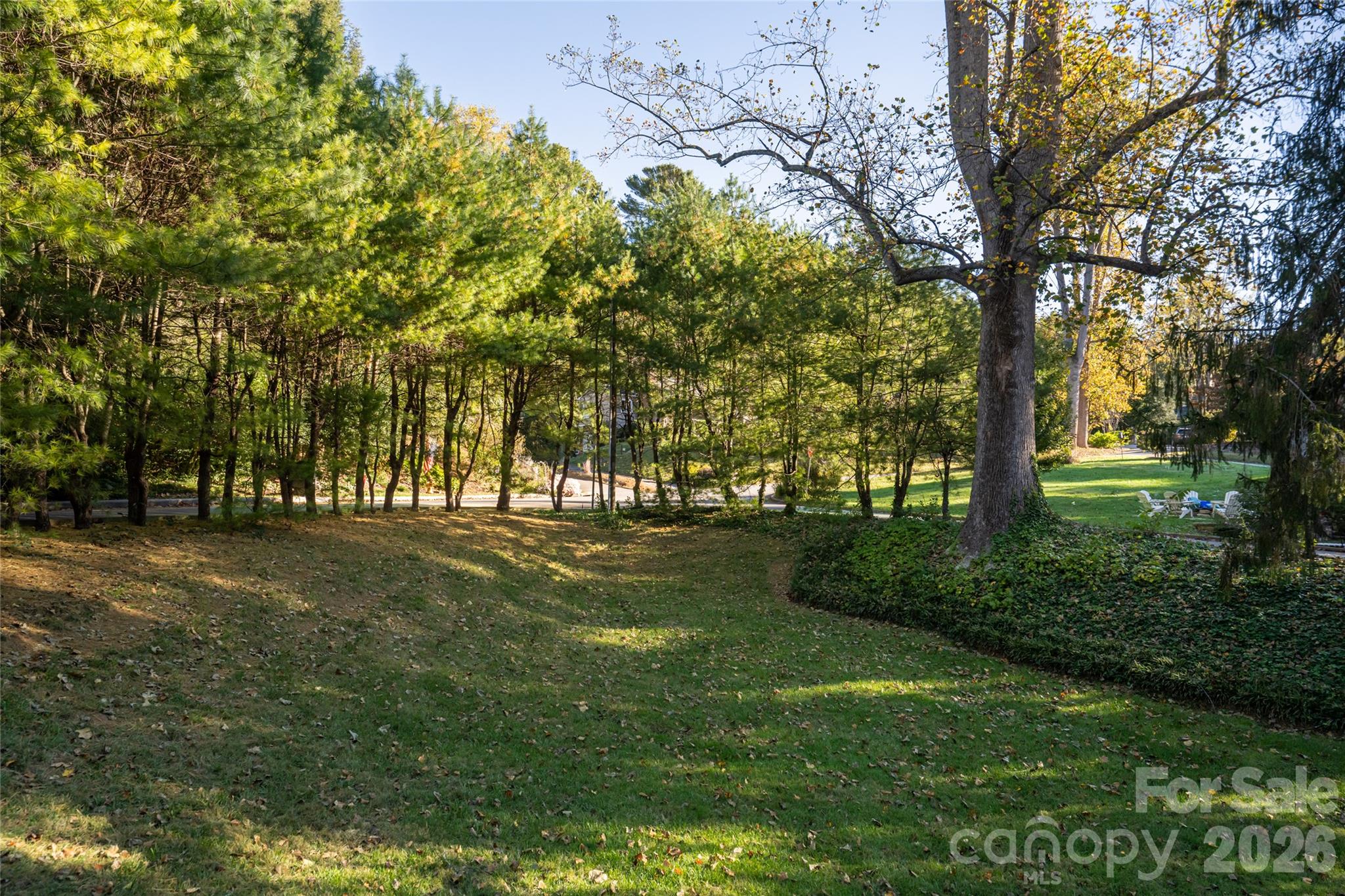 Incredible homesite - 25 Blackwood Road, Asheville