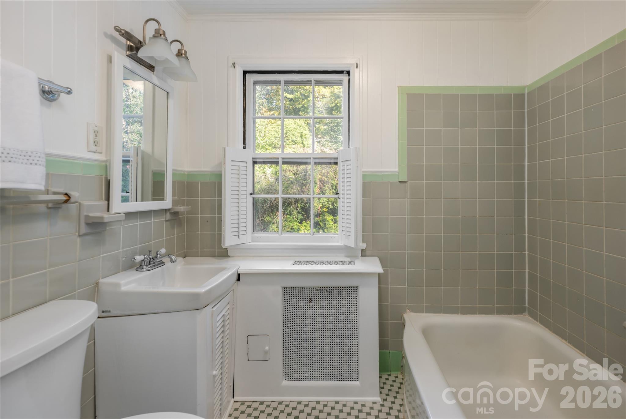 Primary bathroom - 25 Blackwood Road, Asheville