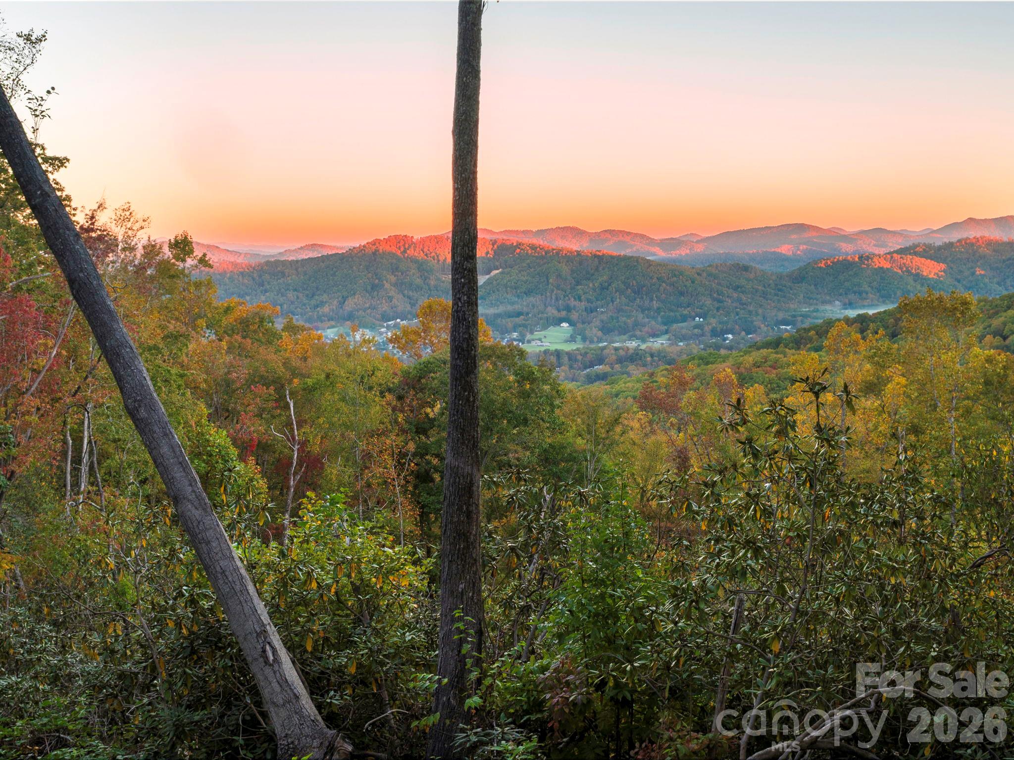 Lot at 202 Hemlock Grove Trail, Hendersonville, photo 2 of 21
