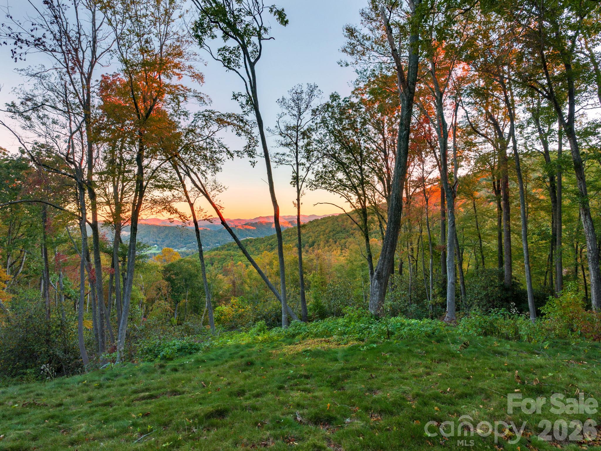 Lot at 202 Hemlock Grove Trail, Hendersonville, photo 3 of 21