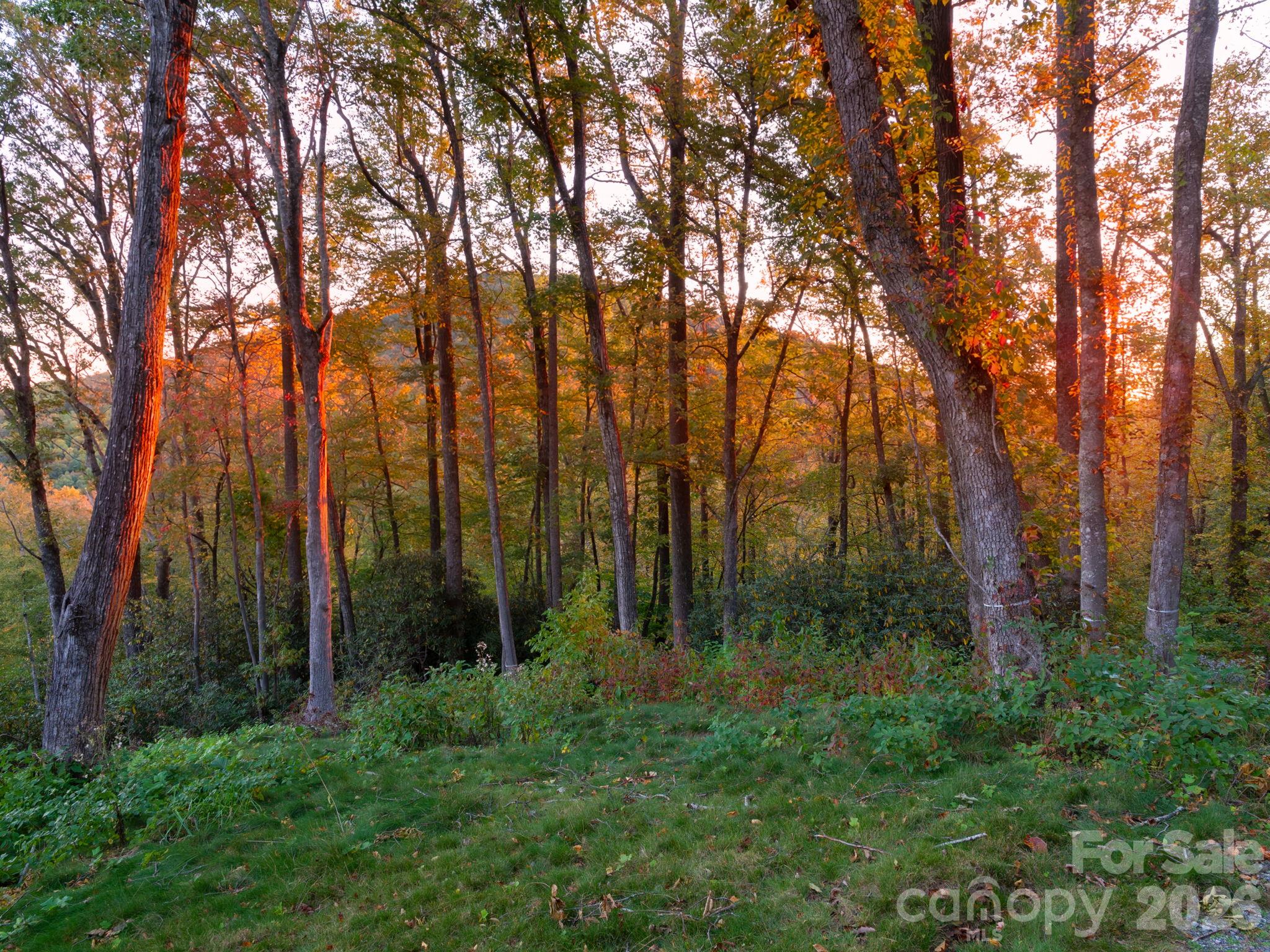 Lot at 202 Hemlock Grove Trail, Hendersonville, photo 5 of 21