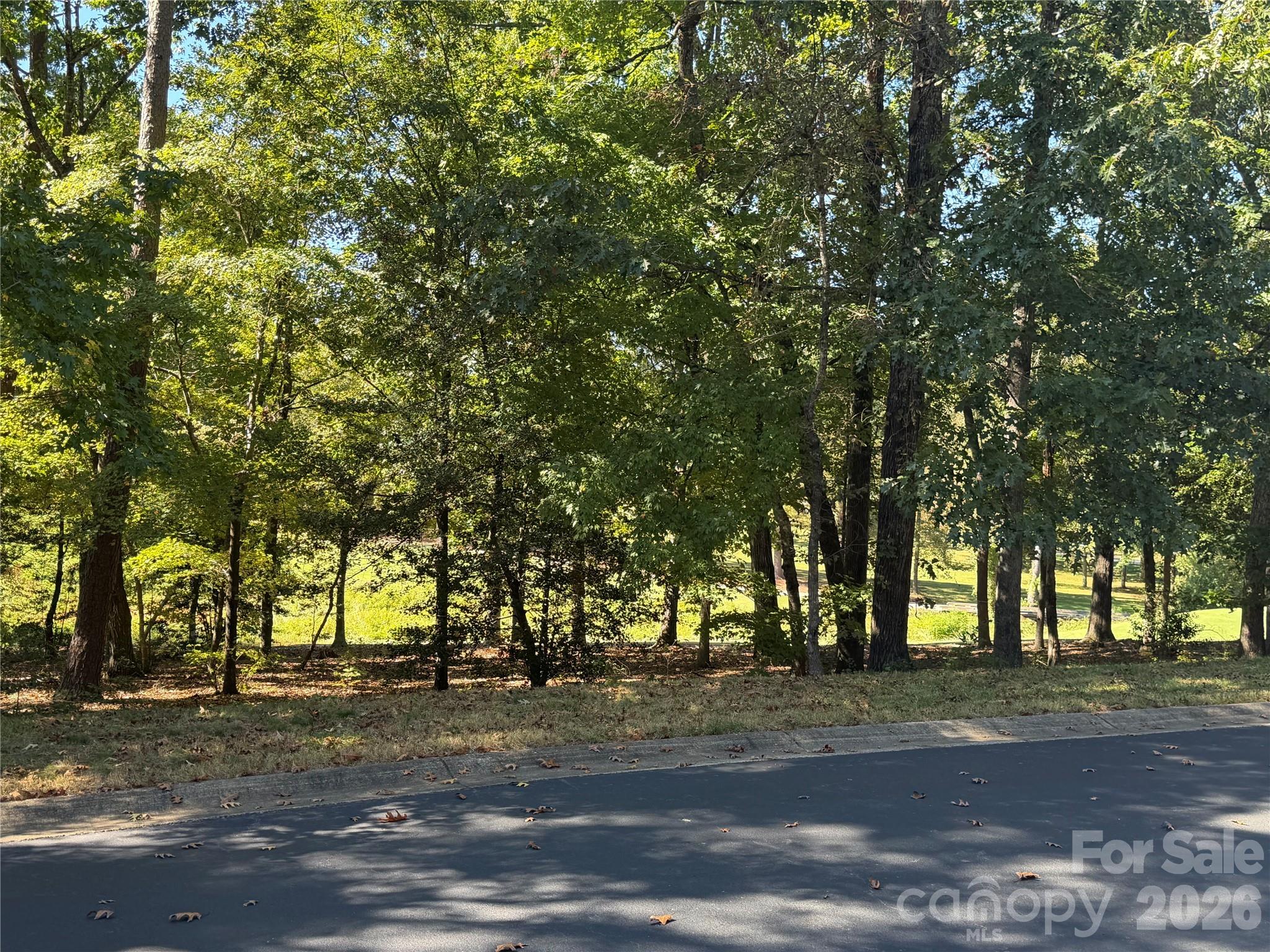 View of Lot from Street - 116 Long Cove None, New London