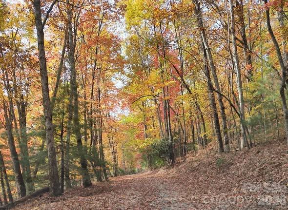 beautiful fall driveway - 189 Breckenridge Trail, Brevard