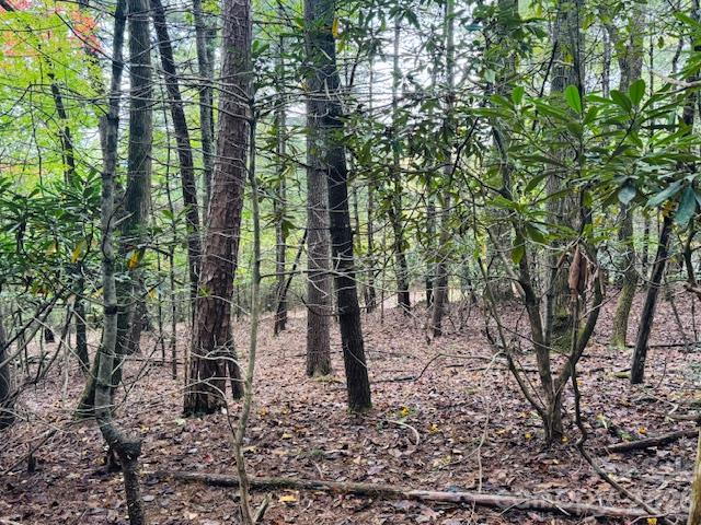 Acreage at 9999 Old Little Mountain Road, Pisgah Forest, photo 3 of 32