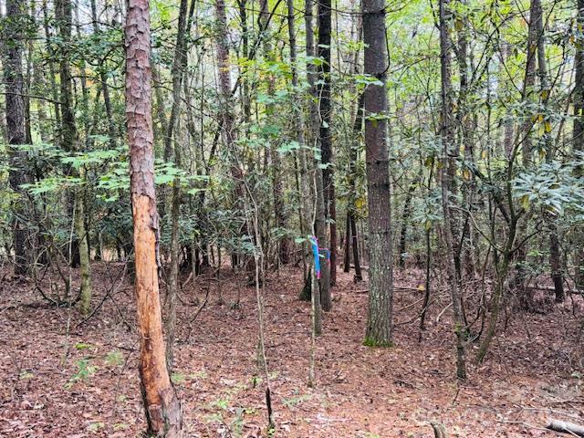 Acreage at 9999 Old Little Mountain Road, Pisgah Forest, photo 6 of 32
