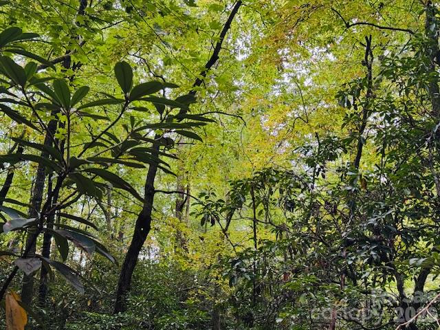 Acreage at 9999 Old Little Mountain Road, Pisgah Forest, photo 10 of 32