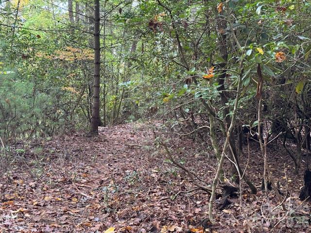 Acreage at 9999 Old Little Mountain Road, Pisgah Forest, photo 11 of 32