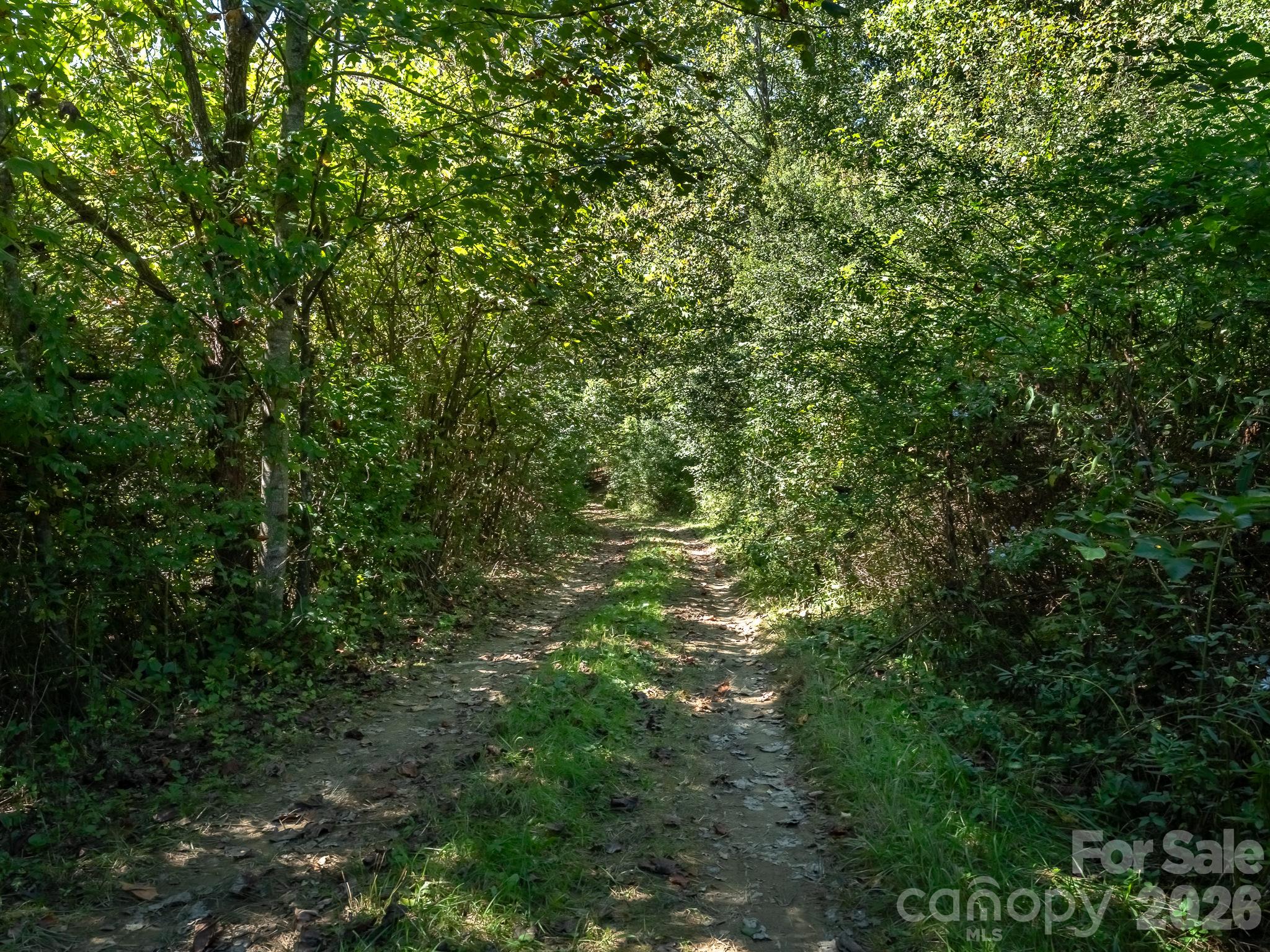 Acreage at 9999 Old Little Mountain Road, Pisgah Forest, photo 13 of 32