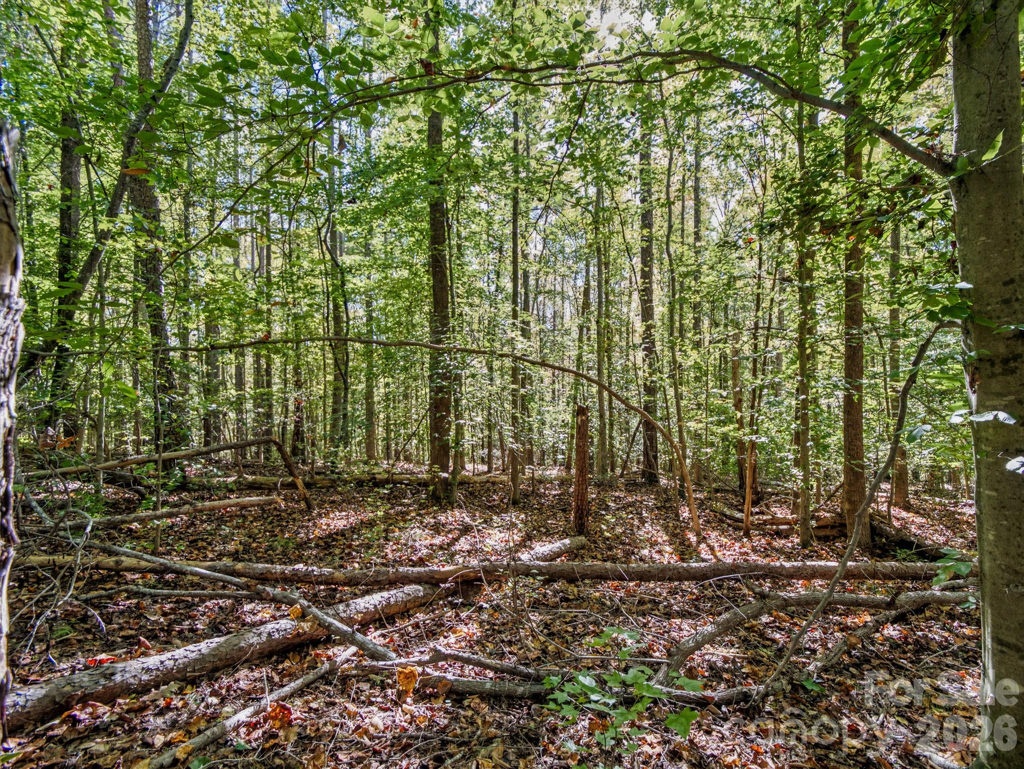 Lot at 000 Conifer Way, Shelby, photo 12 of 29