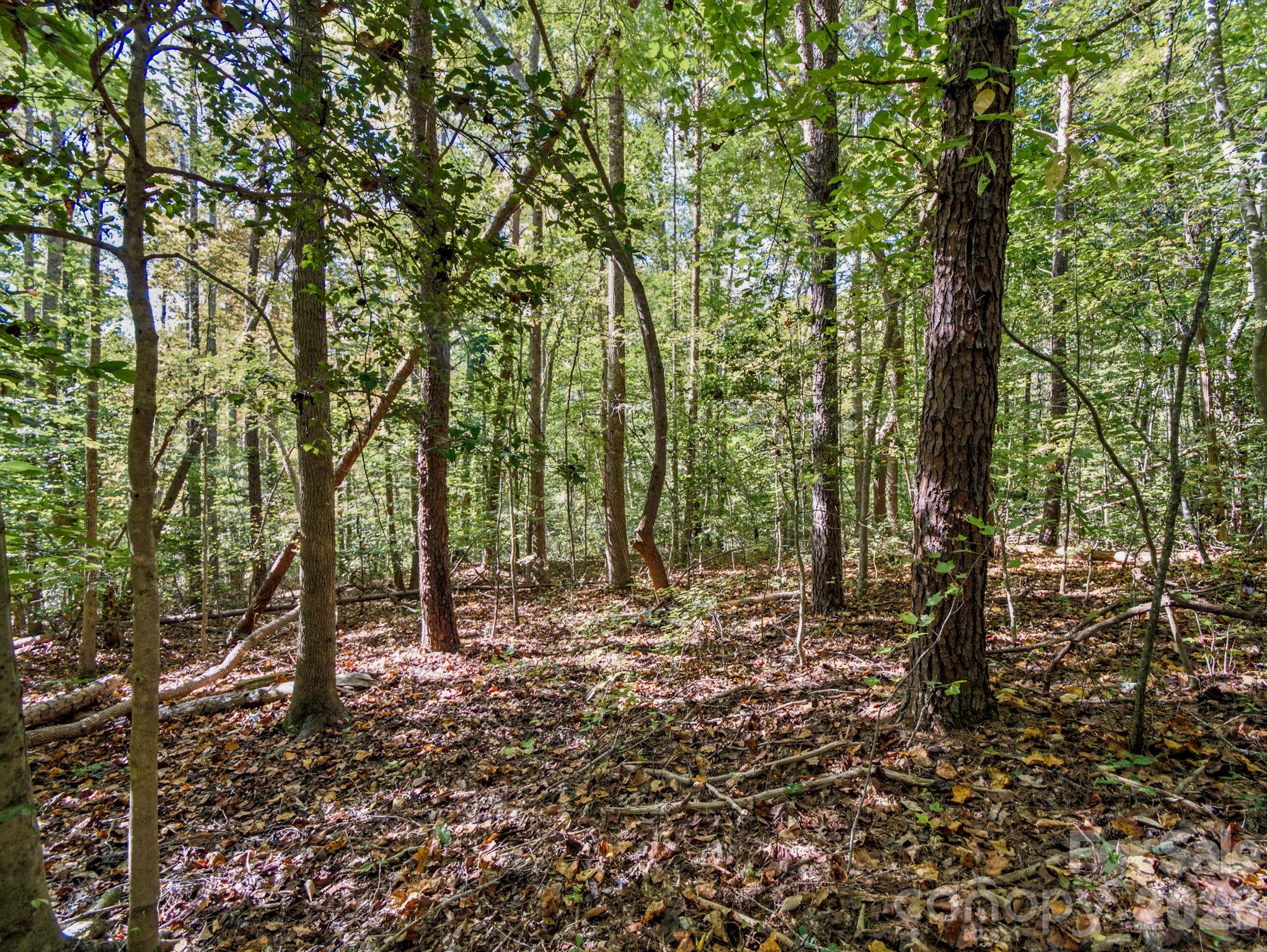 Lot at 000 Conifer Way, Shelby, photo 13 of 29