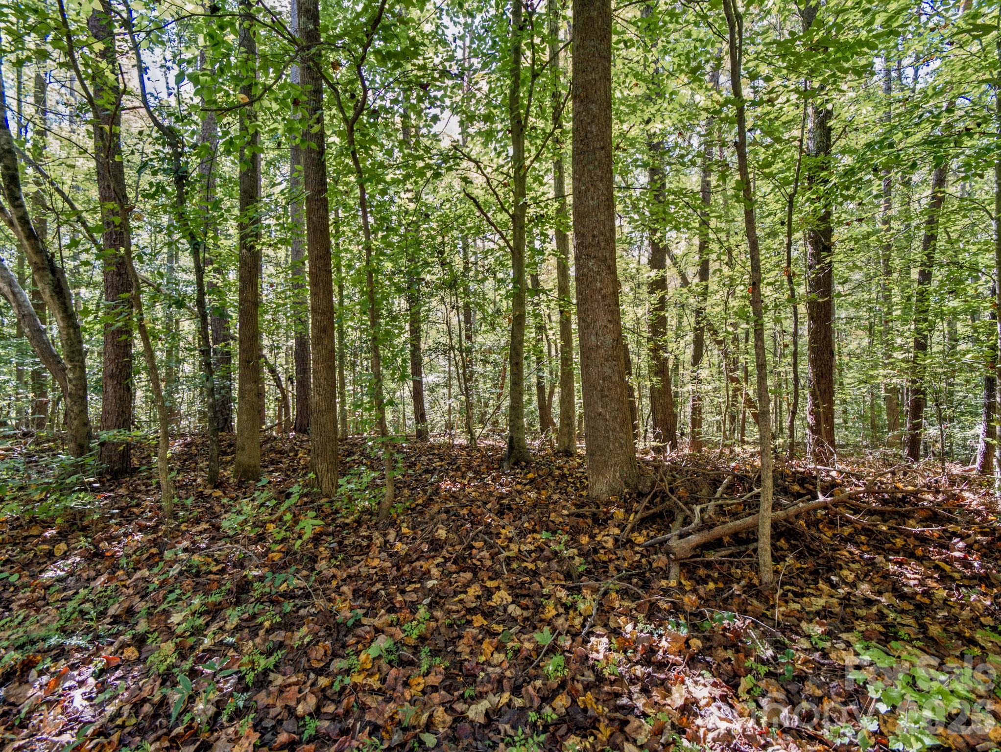 Lot at 000 Conifer Way, Shelby, photo 14 of 29