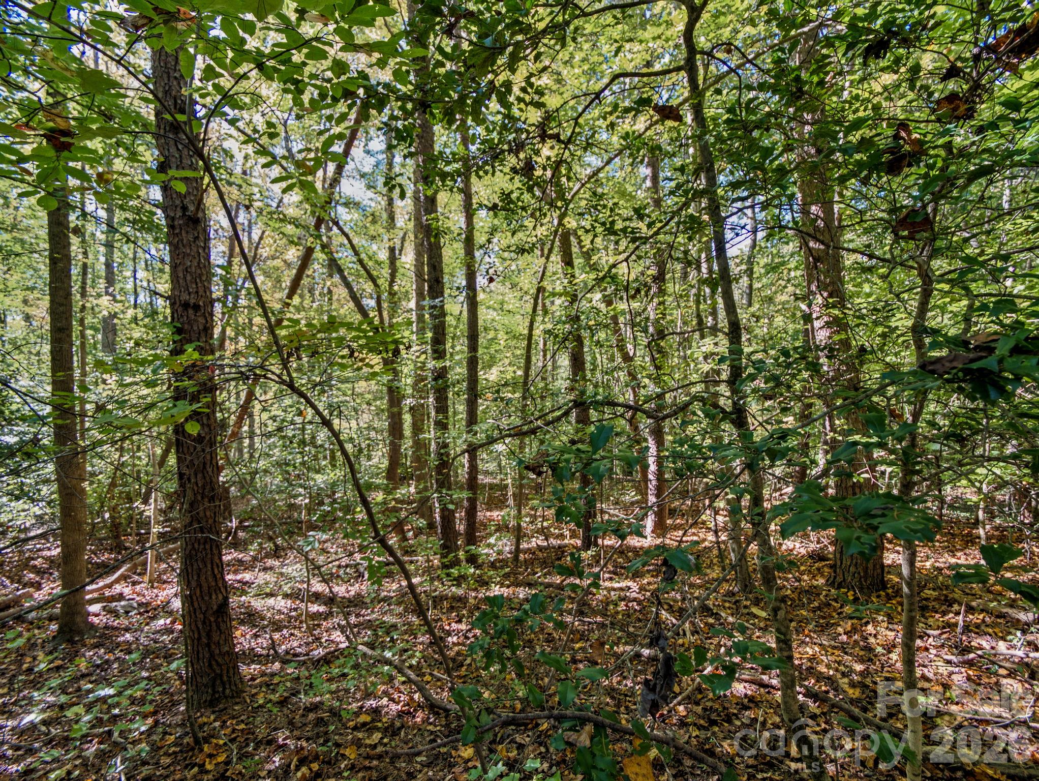 Lot at 000 Conifer Way, Shelby, photo 15 of 29