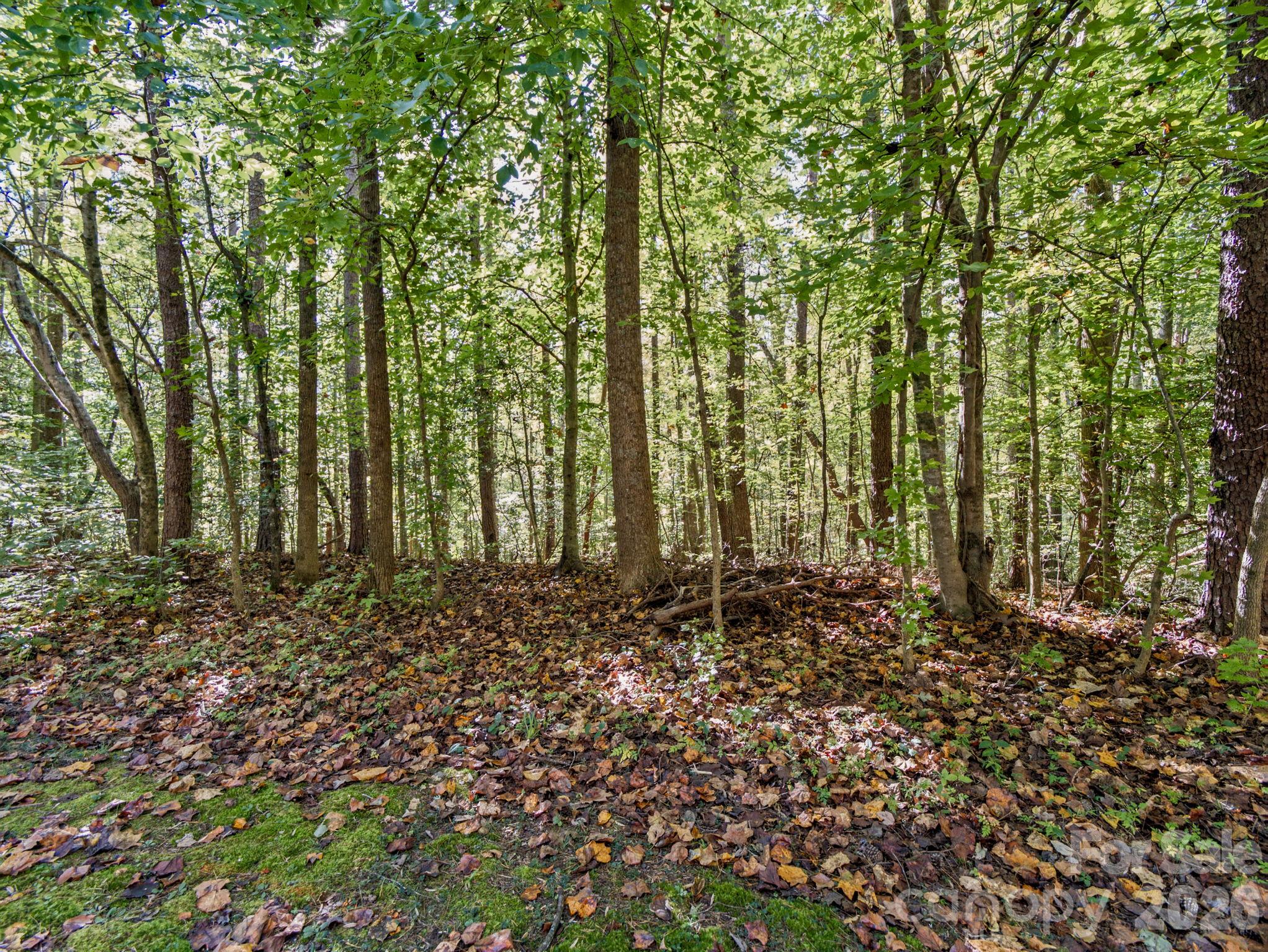 Lot at 000 Conifer Way, Shelby, photo 16 of 29