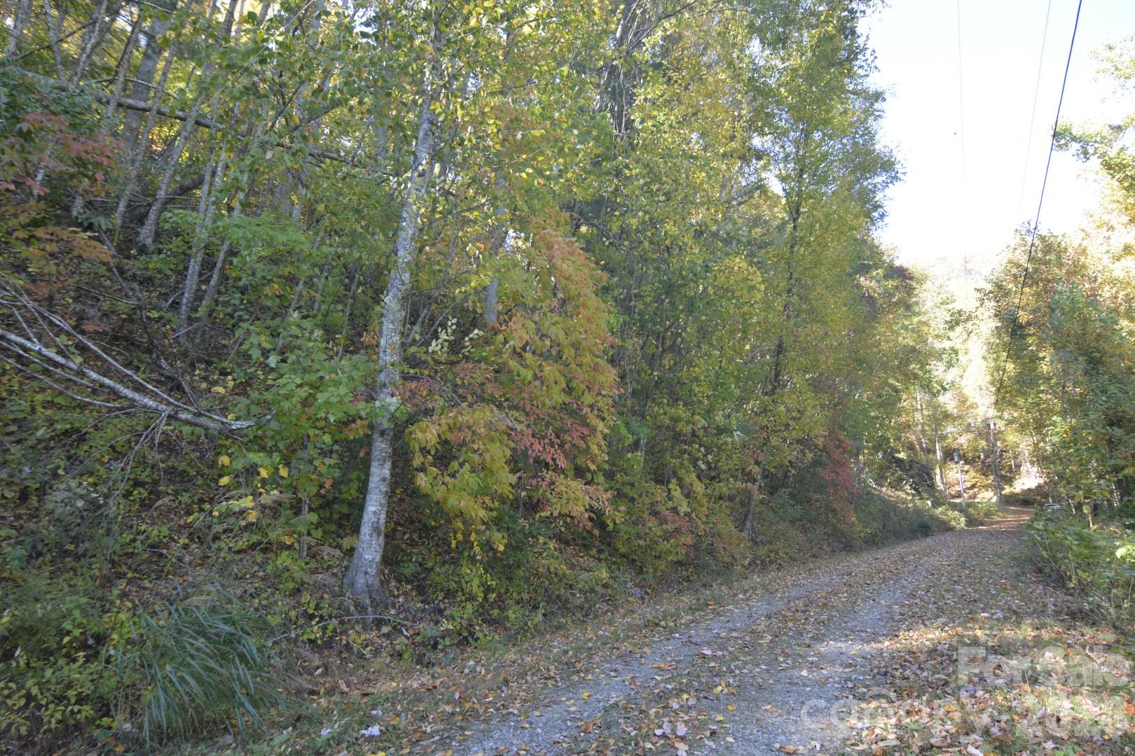 Lot at 00 Bedford Road, Barnardsville, photo 2 of 17