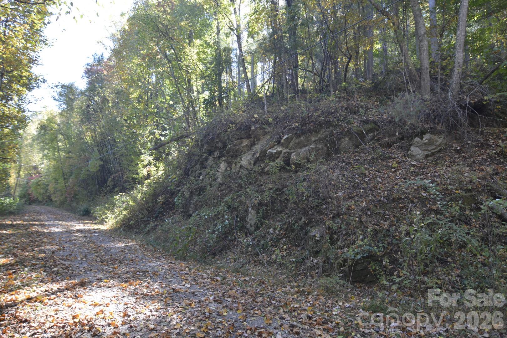 Lot at 00 Bedford Road, Barnardsville, photo 3 of 17