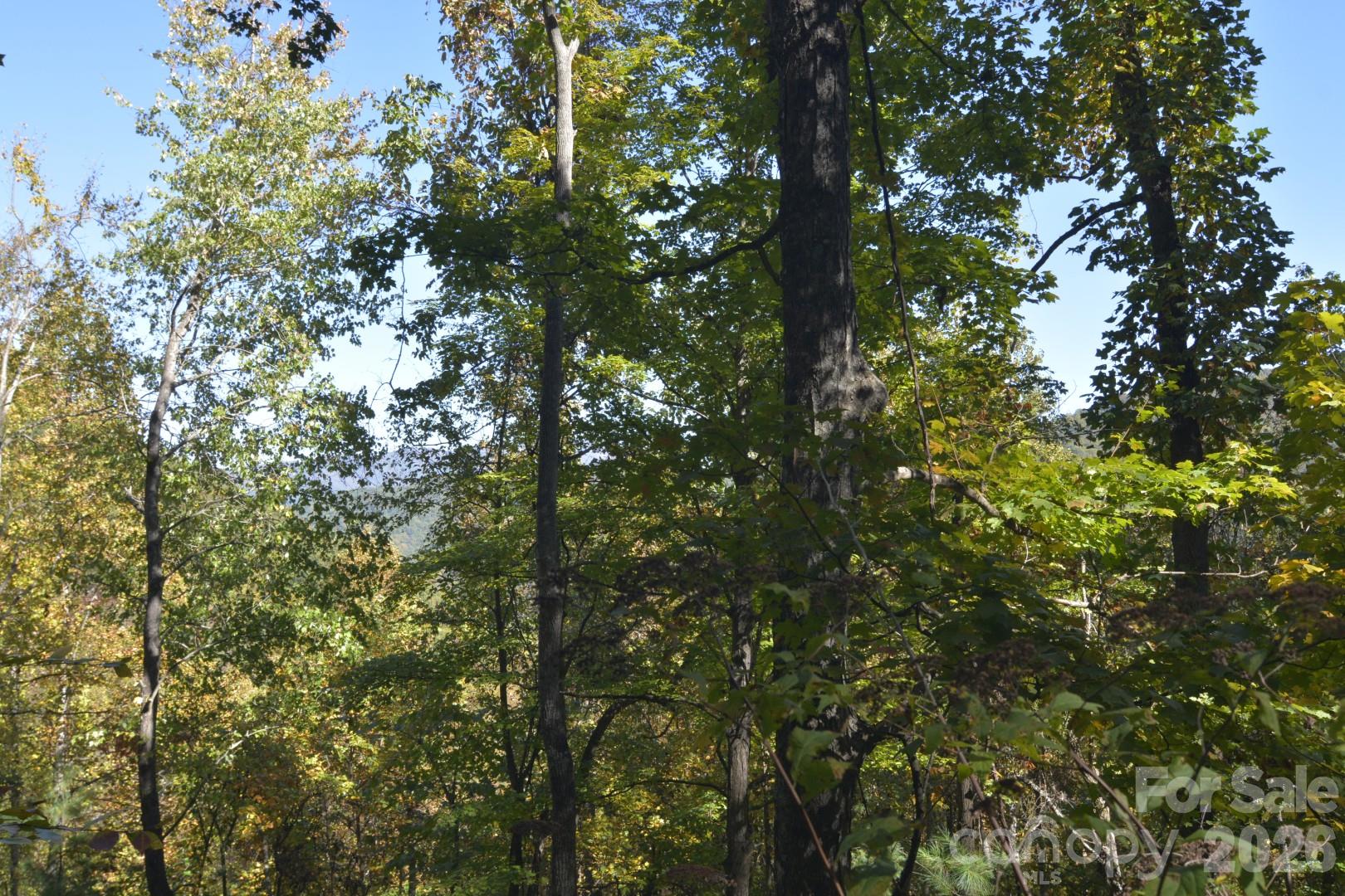 View at pad area - 00 Bedford Road, Barnardsville
