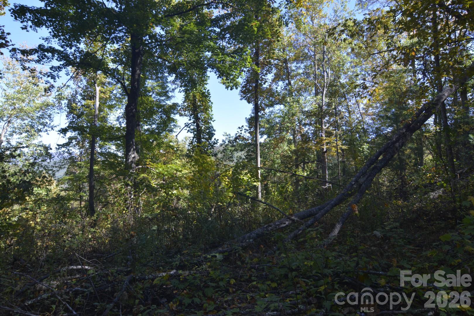 View at pad area - 00 Bedford Road, Barnardsville