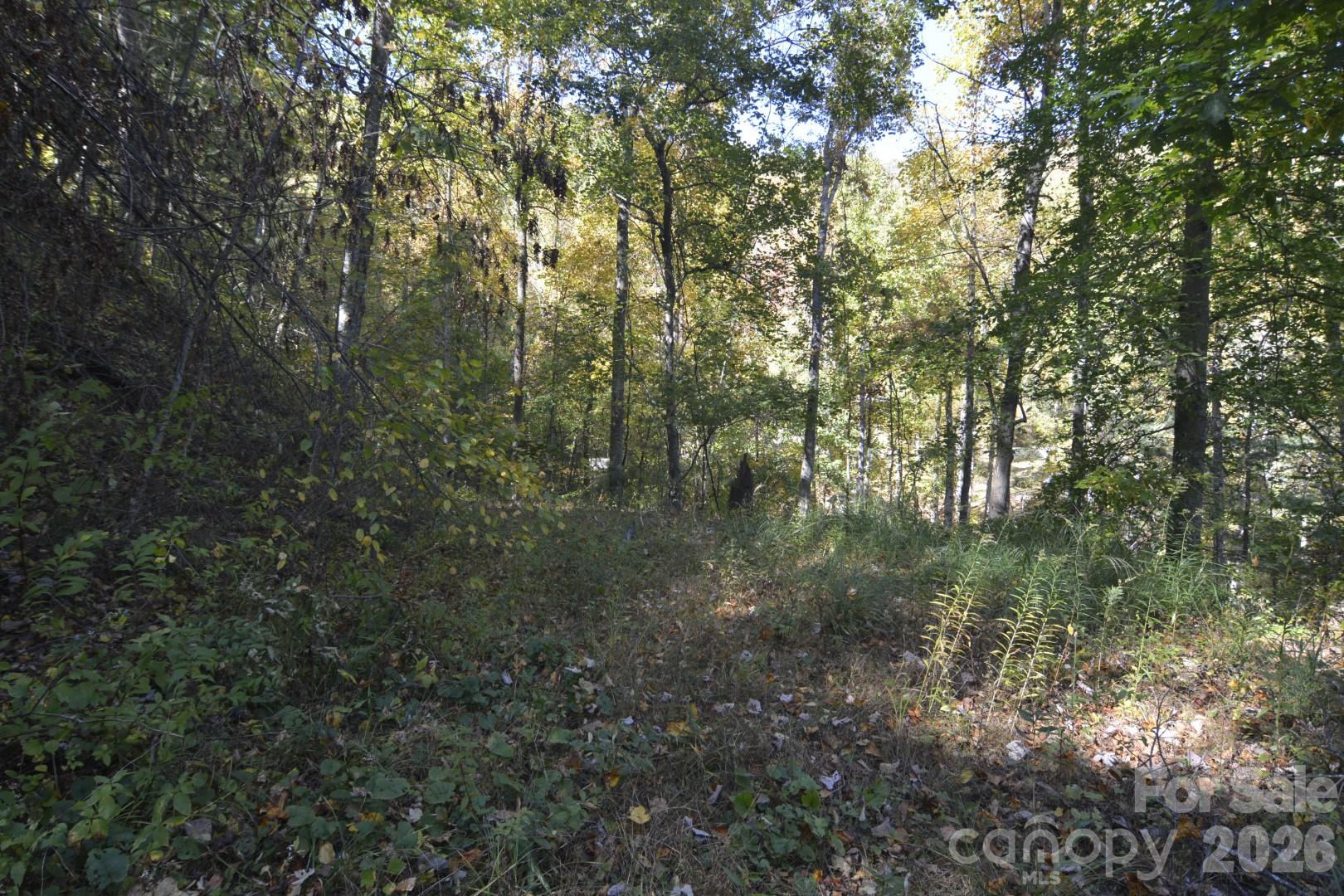 Pad Area looking at Driveway - 00 Bedford Road, Barnardsville