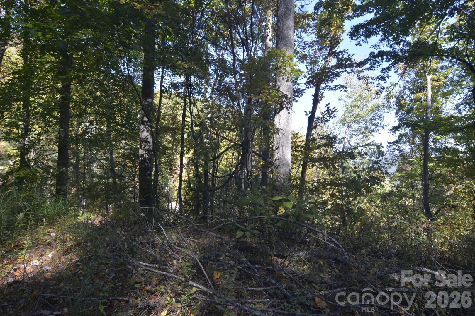 Pad Area View - 00 Bedford Road, Barnardsville