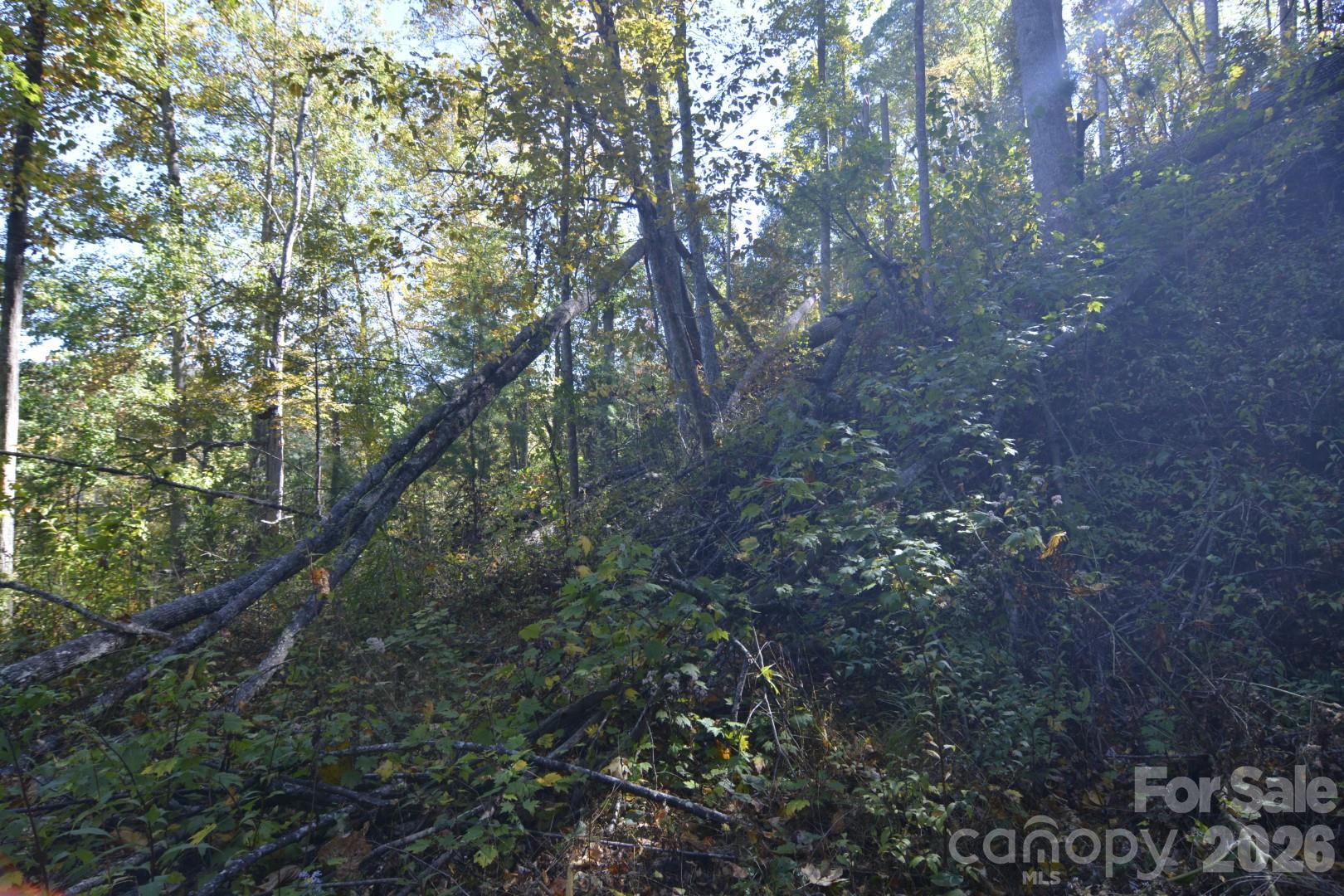Lot at 00 Bedford Road, Barnardsville, photo 11 of 17