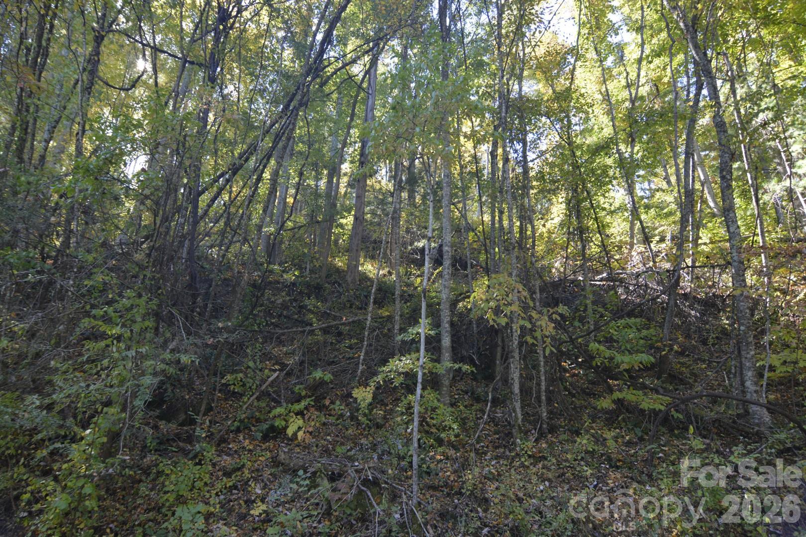 Lot at 00 Bedford Road, Barnardsville, photo 12 of 17