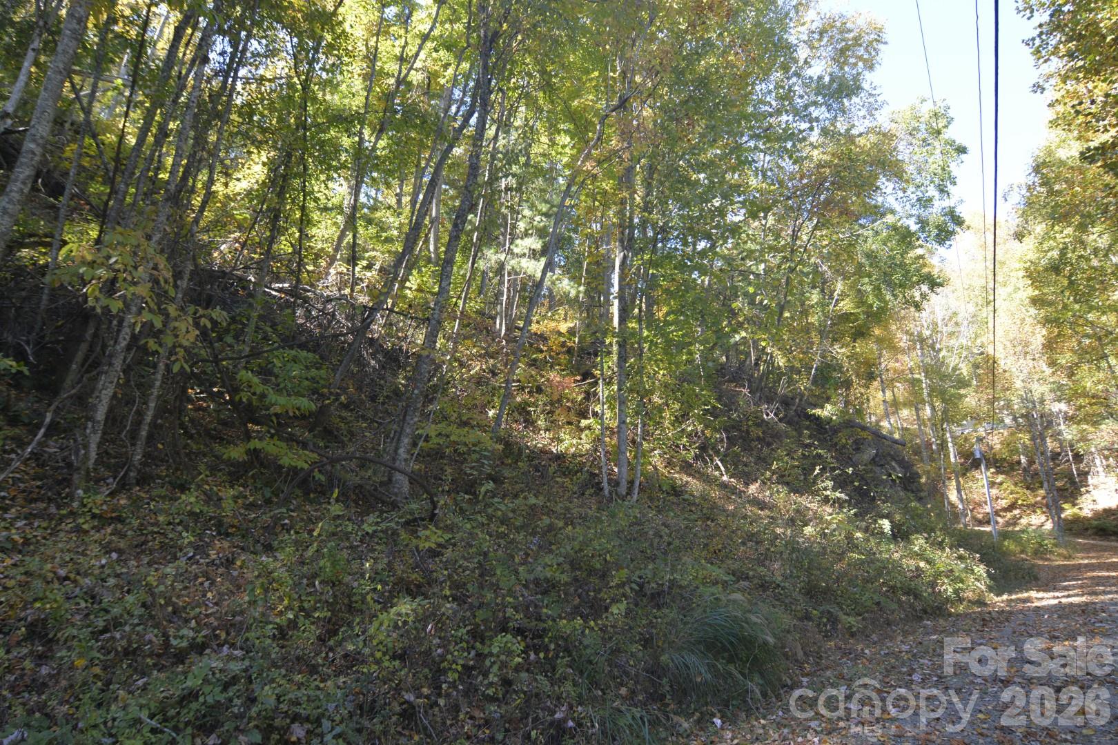 Lot at 00 Bedford Road, Barnardsville, photo 13 of 17