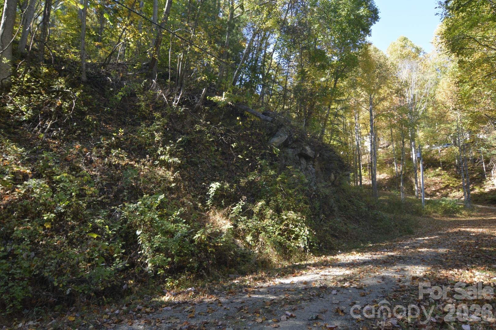Lot at 00 Bedford Road, Barnardsville, photo 15 of 17