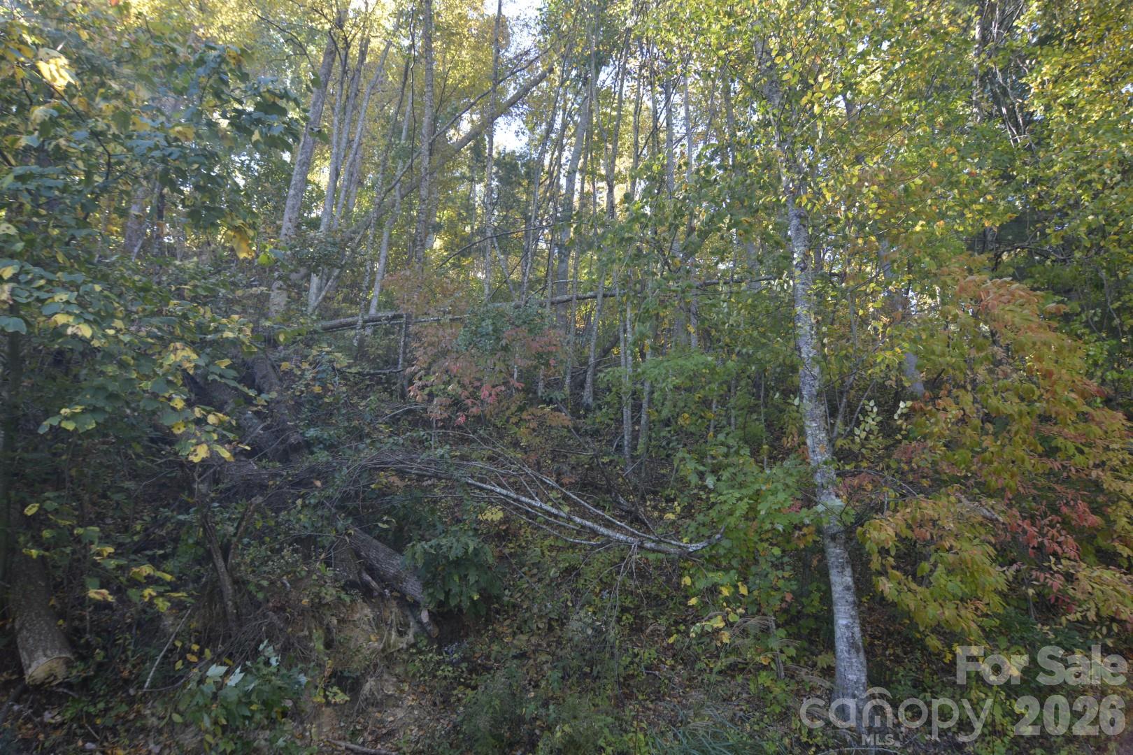 View from the road looking up to the pad area - 00 Bedford Road, Barnardsville