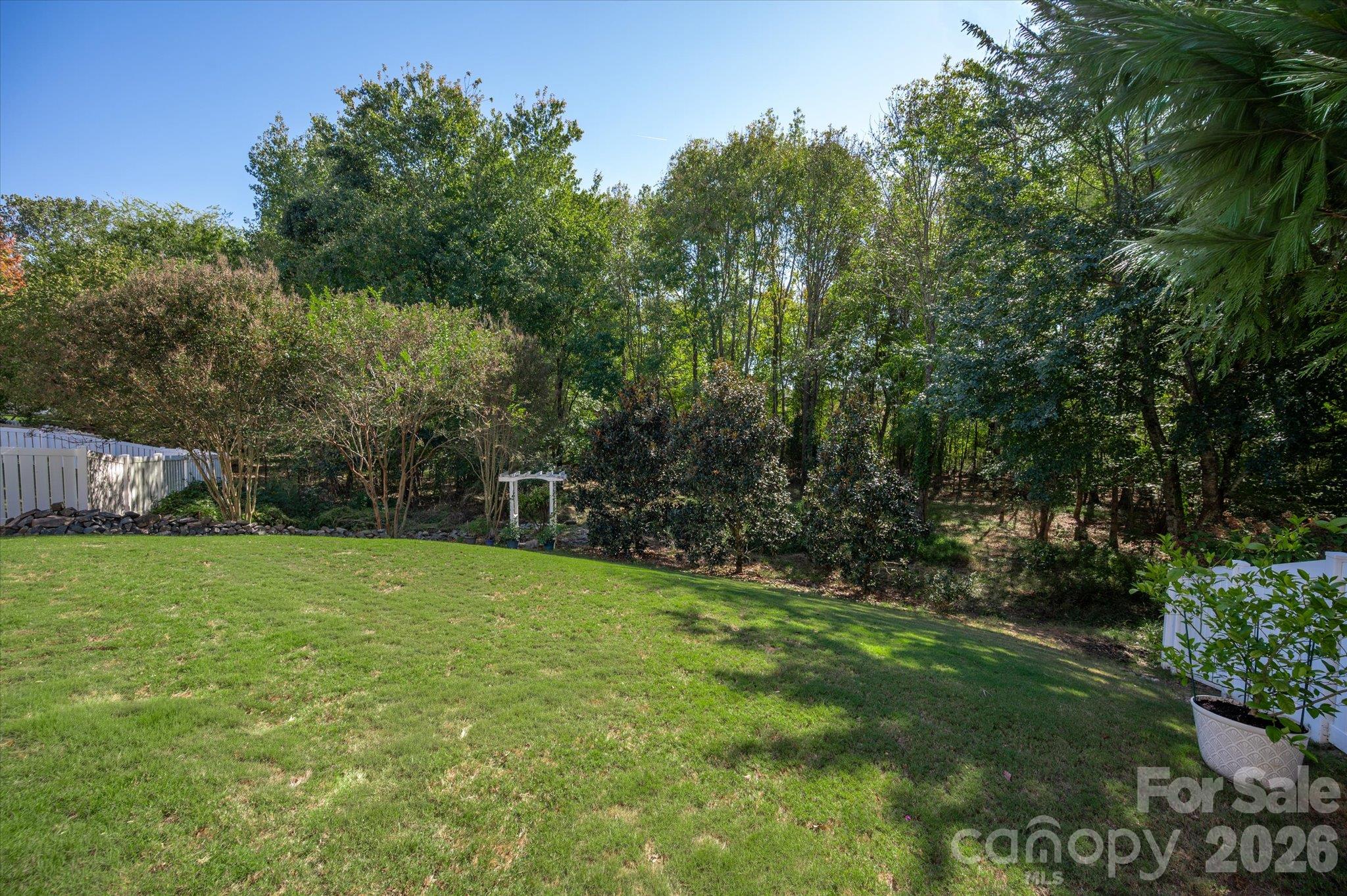 Private backyard - 6107 Cactus Valley Road, Charlotte
