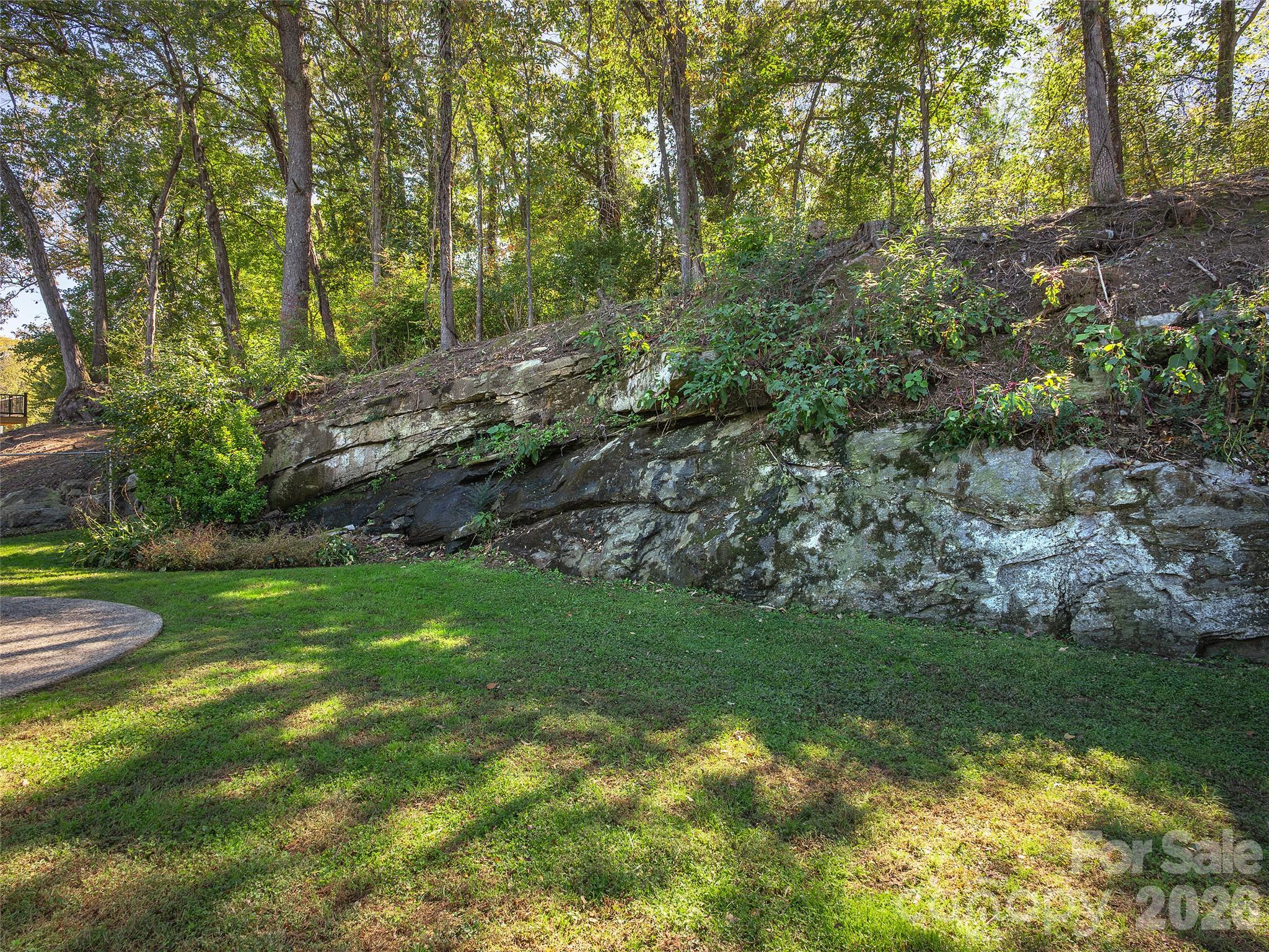 Back yard - 110 Shelly Drive, Hendersonville