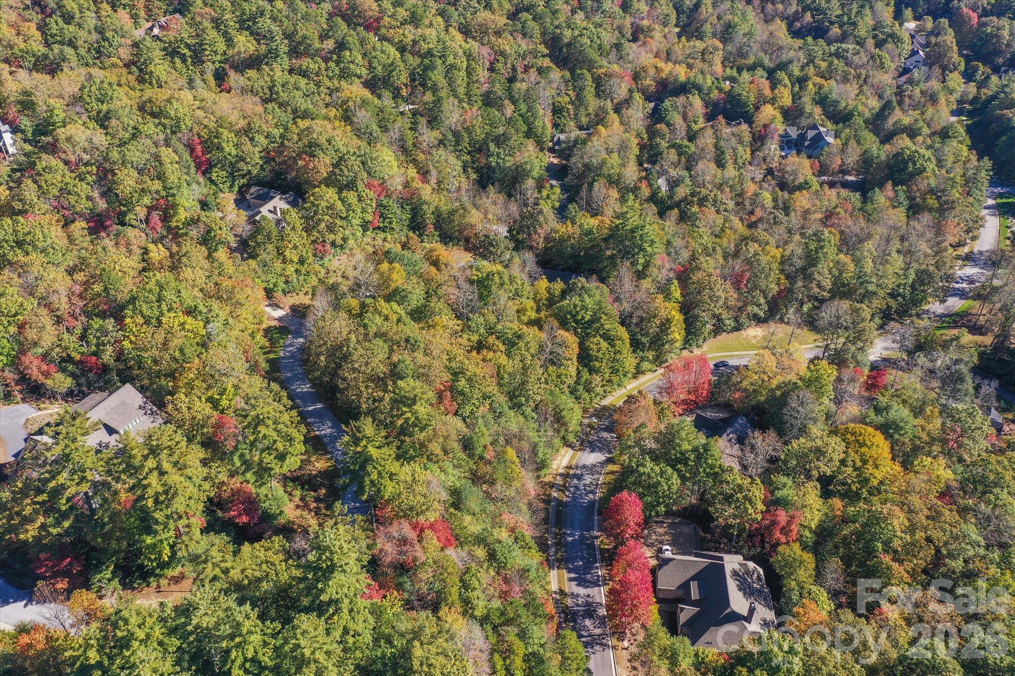 TBD Pine Mountain Trail
