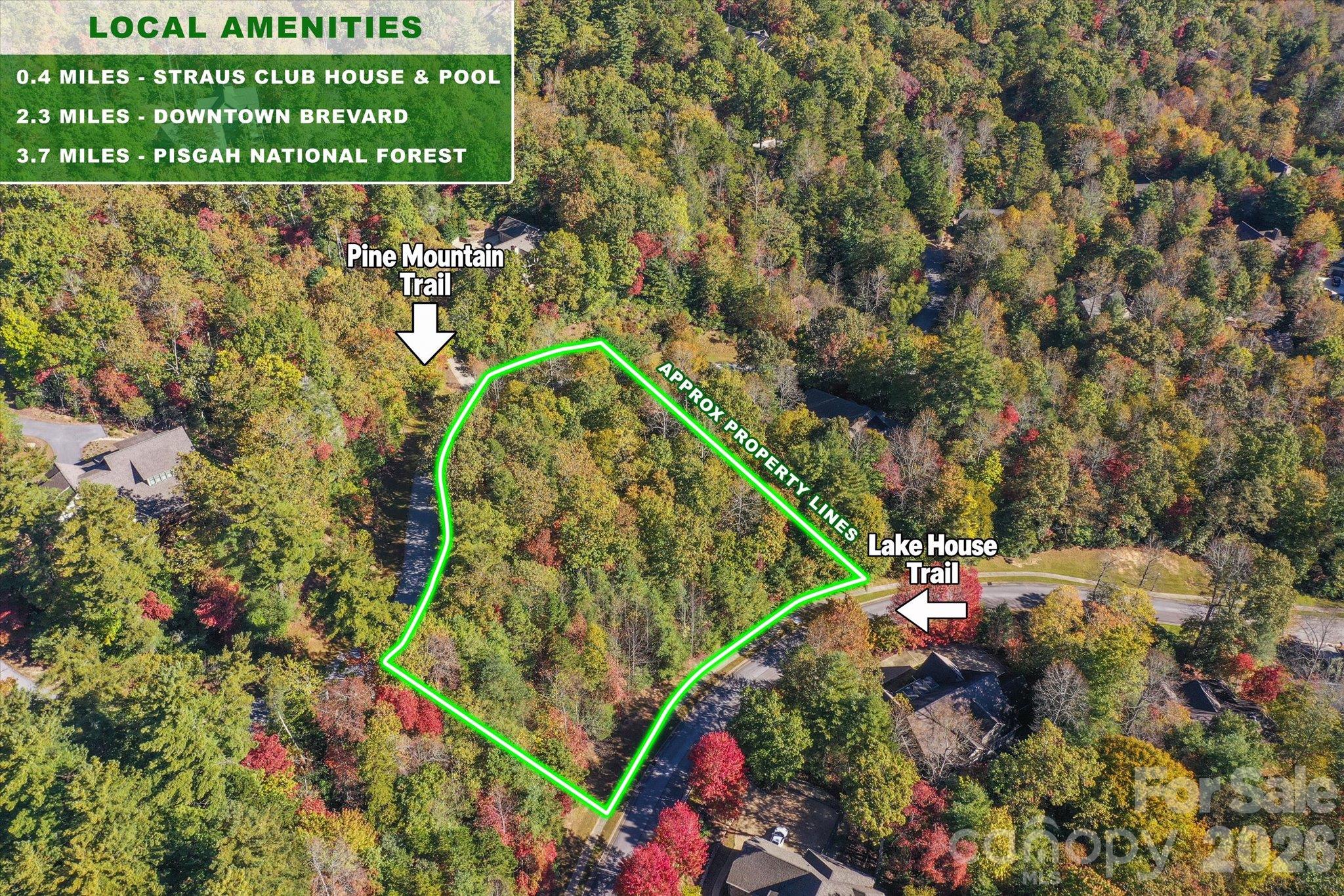 Lot at TBD Pine Mountain Trail, Brevard, photo 2 of 12